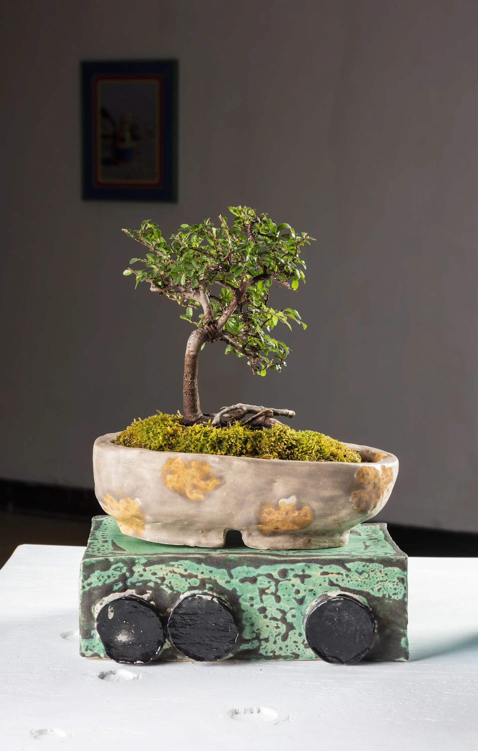 Lucinda Trask, Anais and Hideo Franco & Antoine Midant Train of Thought , Dimensions Variable, Ceramics, Plywood and Bonsai Tree. (Detail)