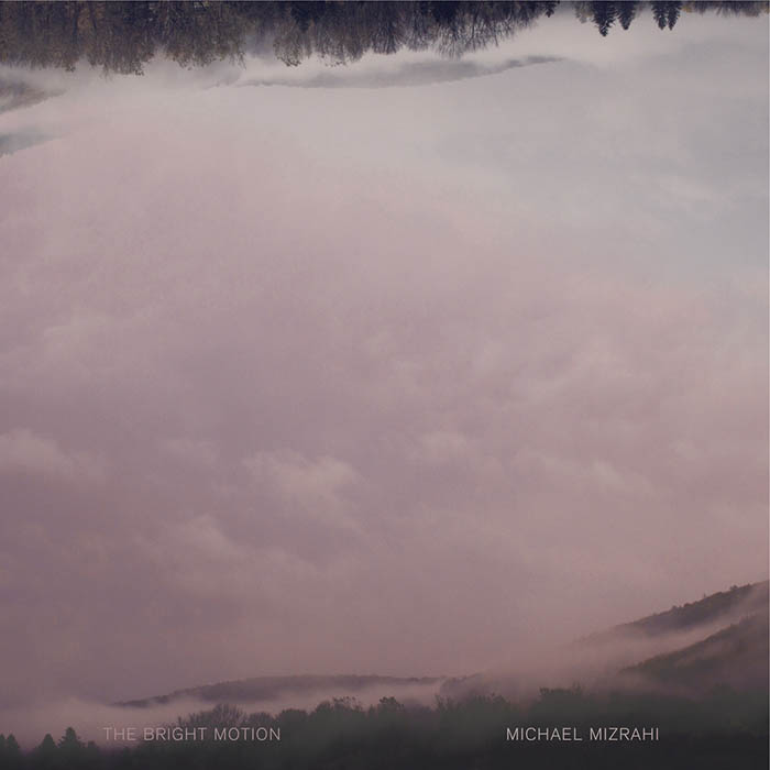 The Bright Motion Michael Mizrahi.jpg