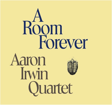 irwin_a_room_forever_cover.jpg
