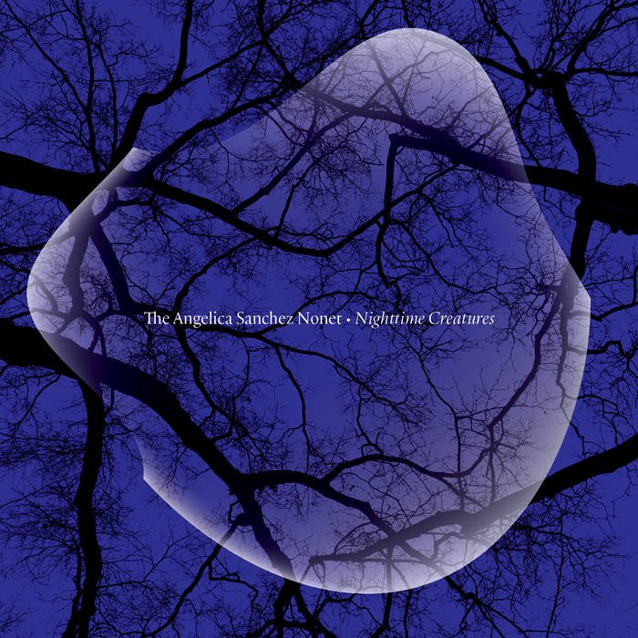 Angelica Sanchez cover.jpeg