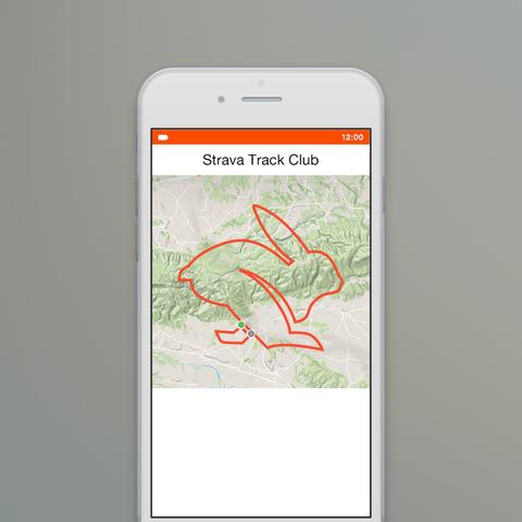 Strava TC + rabbit Blog