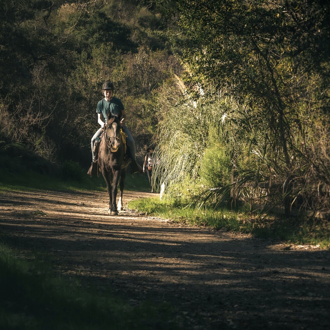 frankie, elfin forest, ca 2.17.2019