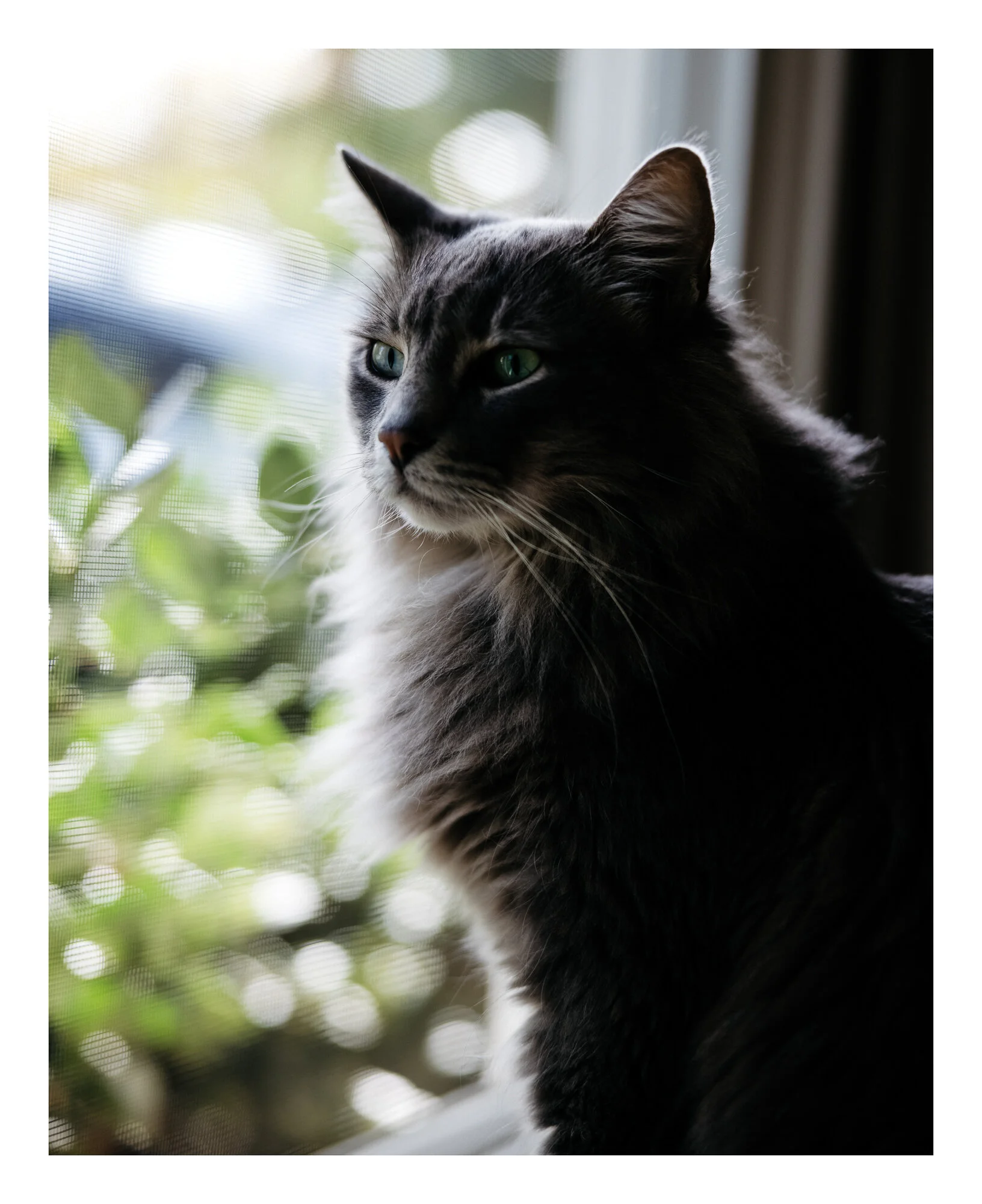 leucadia, ca 3.21.21