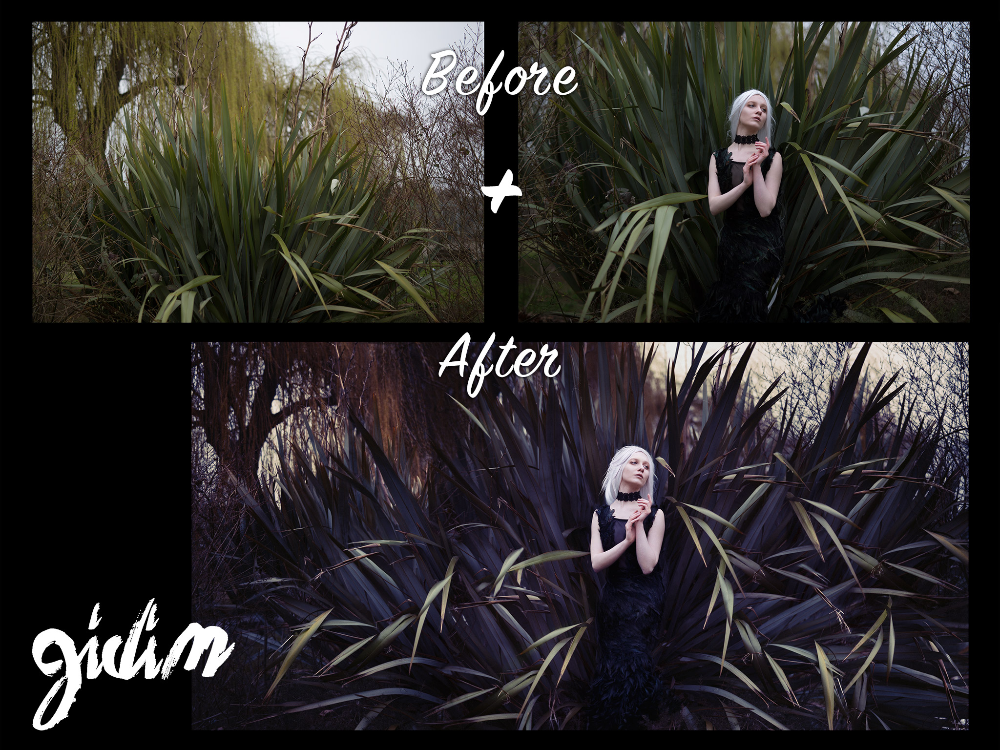 before/ after from Gidi Meir Morris Photography