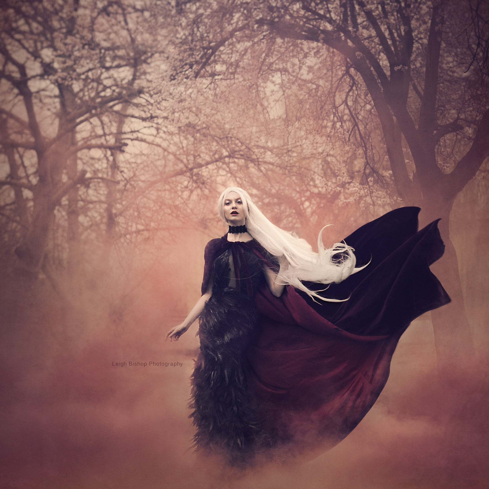 Summoned by Leigh Bishop Photography