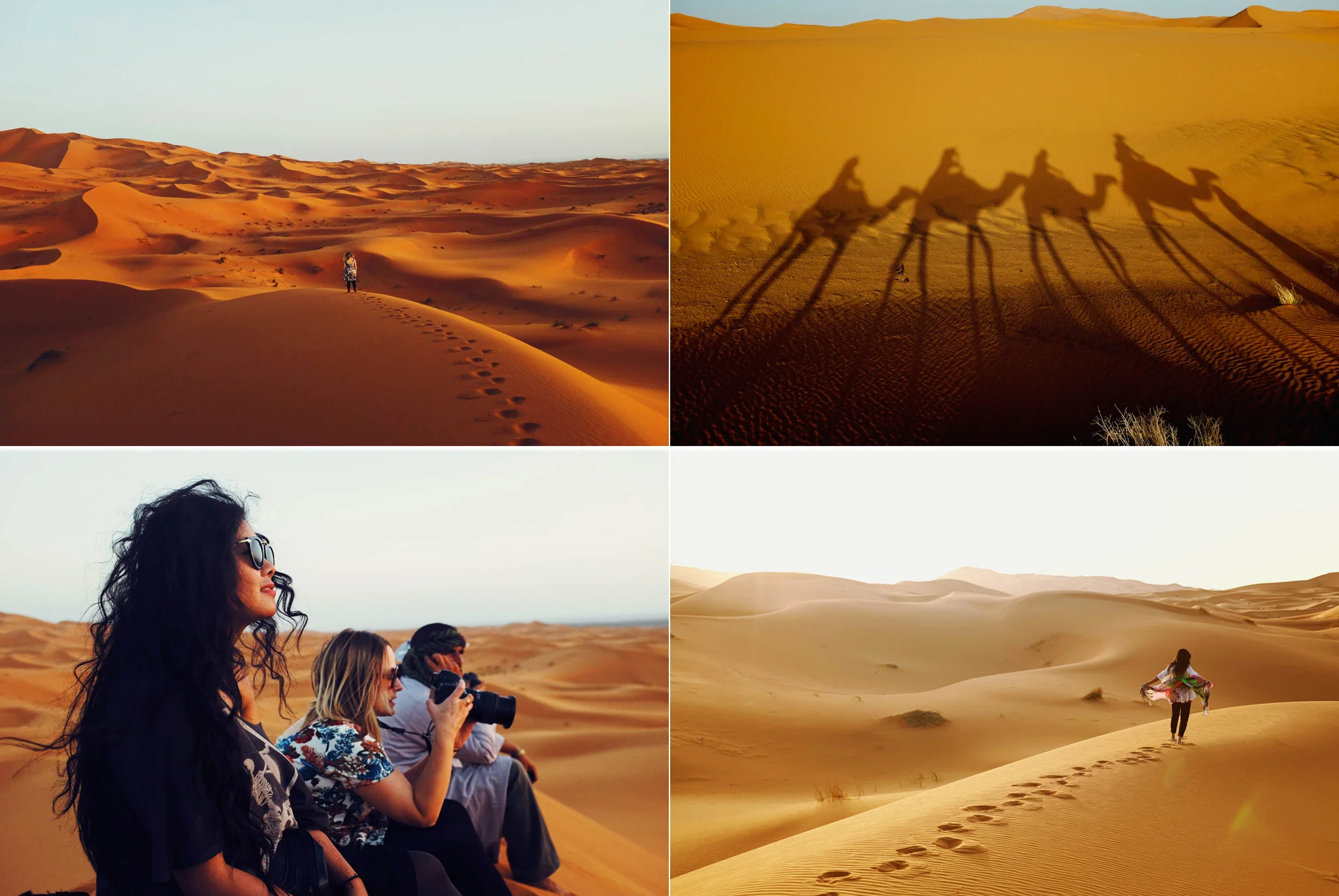 Camel Treks & Glamping - Morocco Part IV