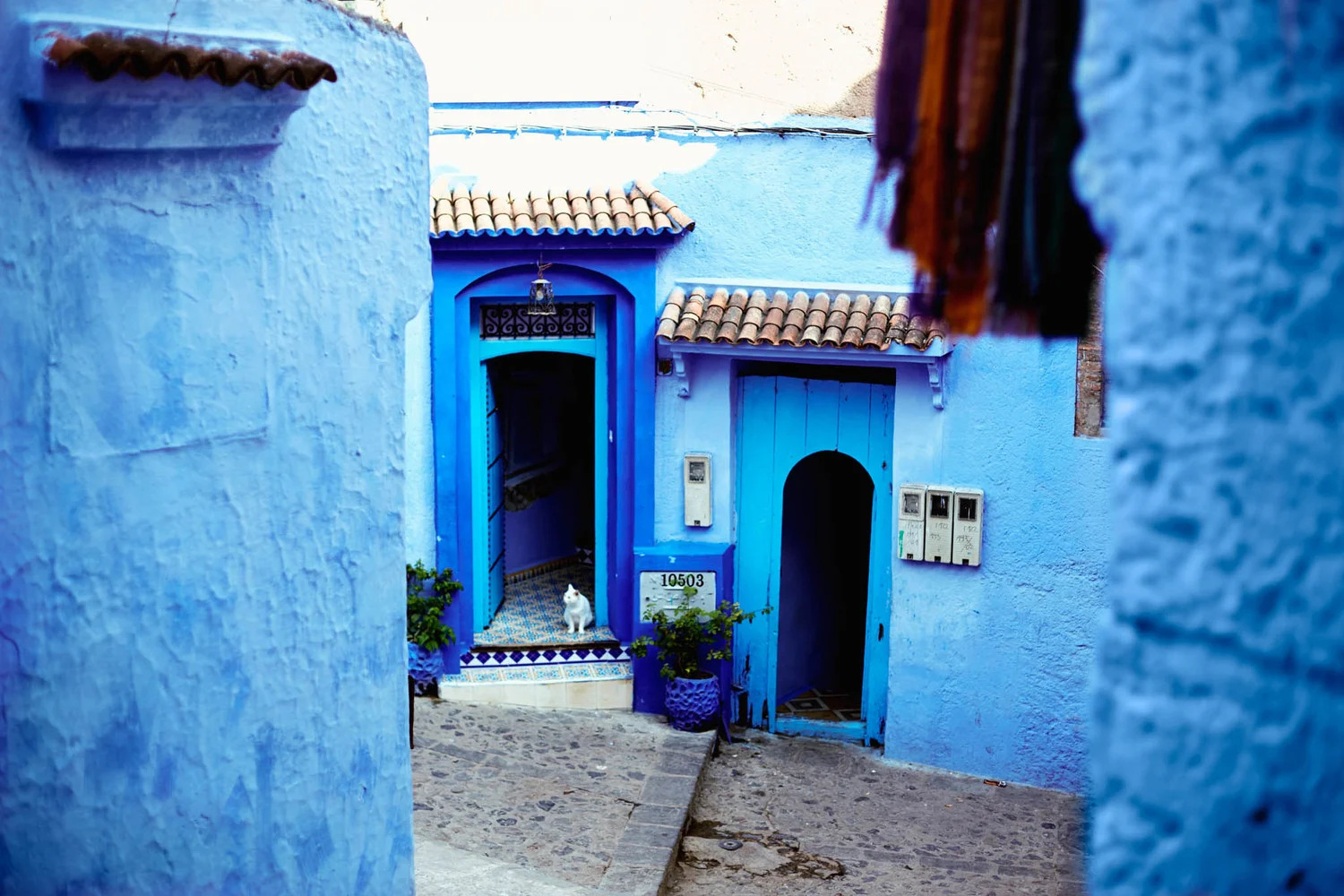 Chefchaouen's Blue Hues - Morocco Part V