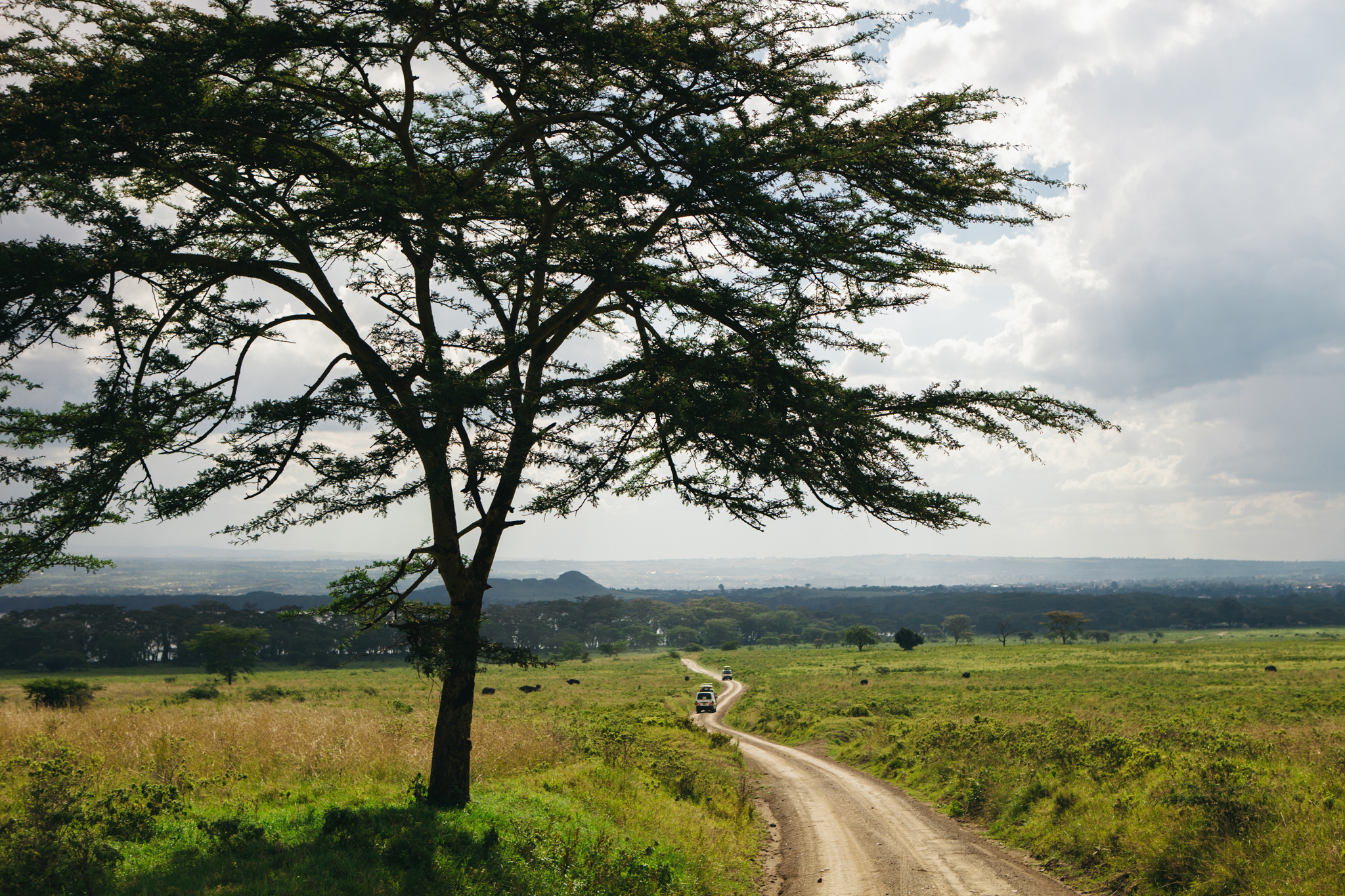 Kenya-17.jpg