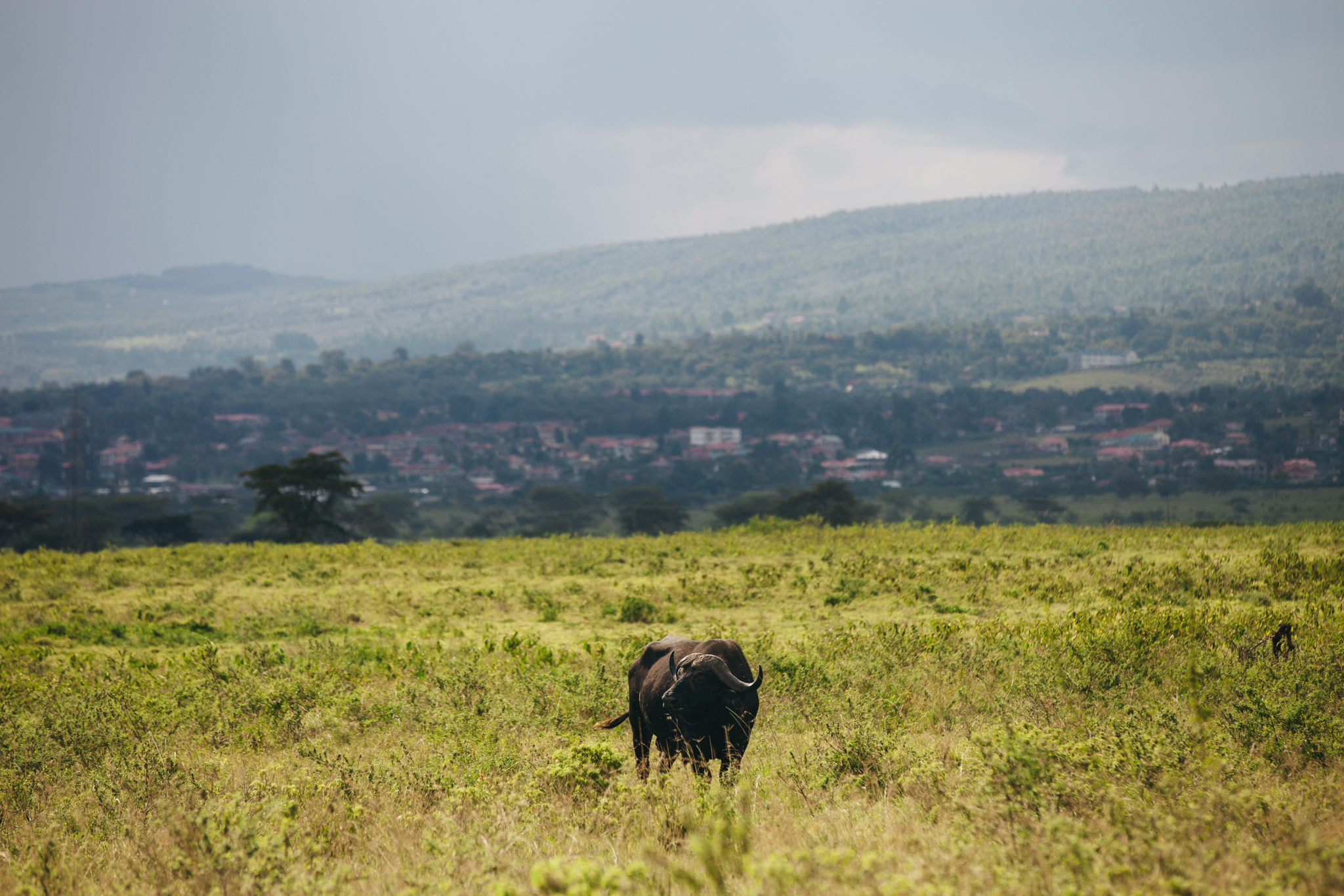 Kenya-20.jpg