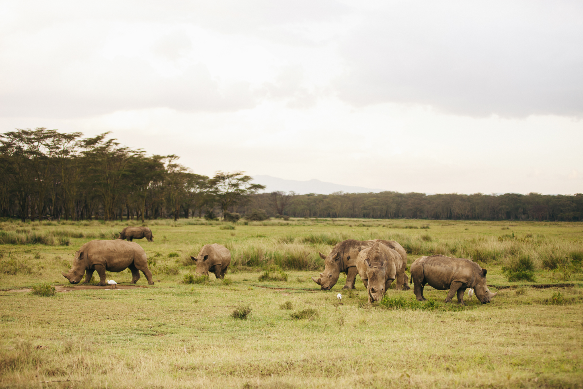 Kenya-41.jpg