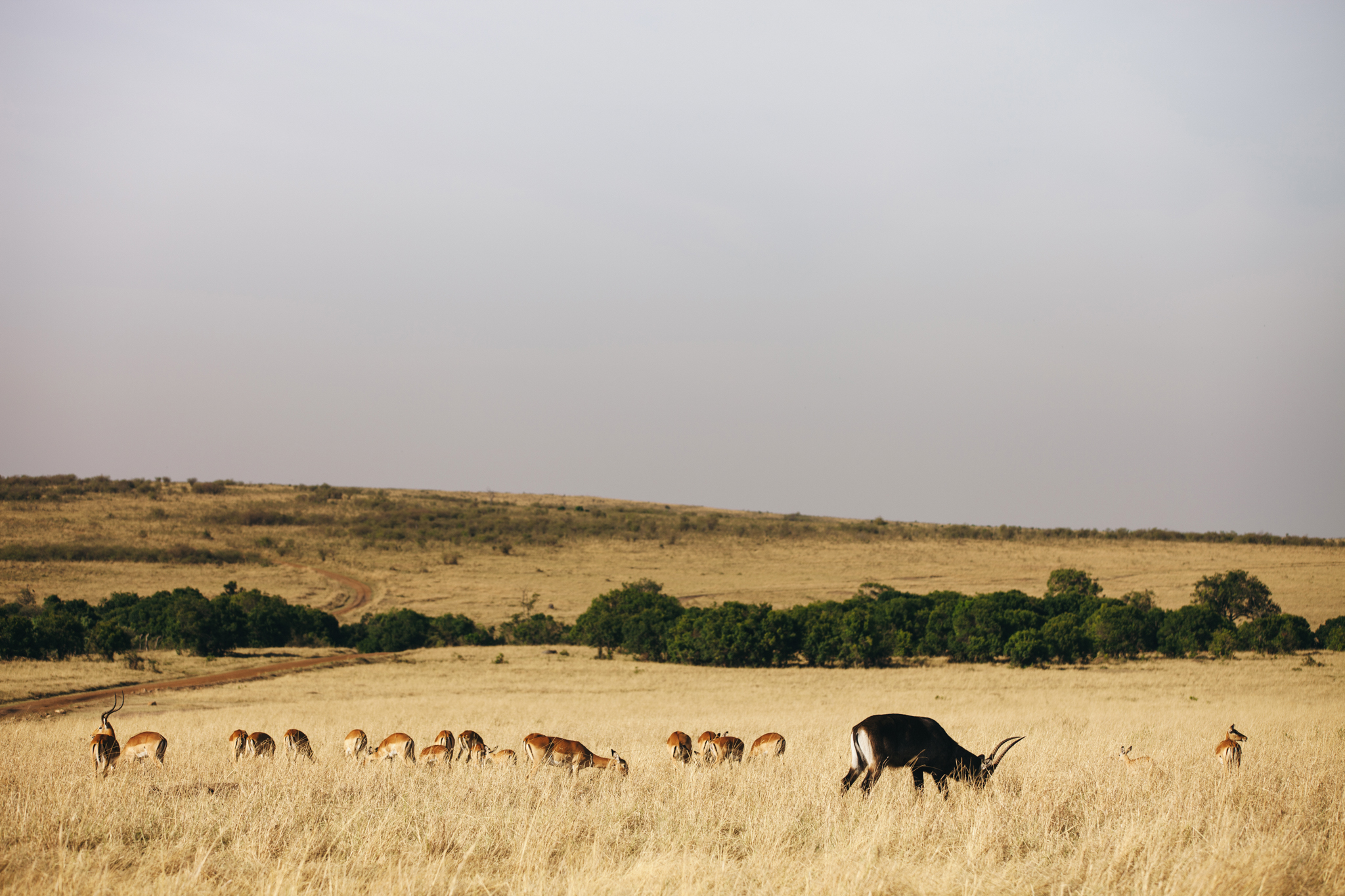 Kenya-83.jpg