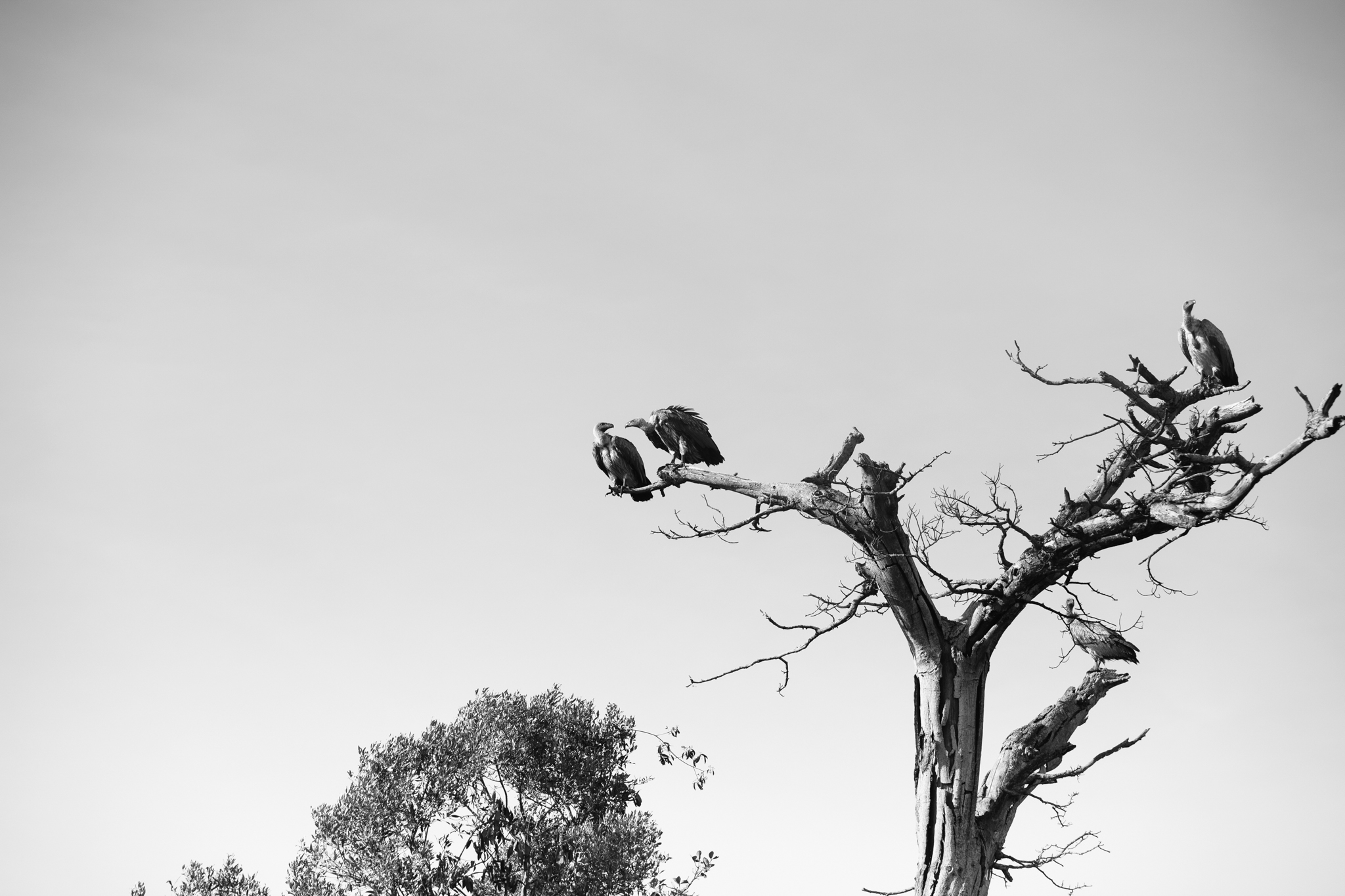 Kenya-84.jpg