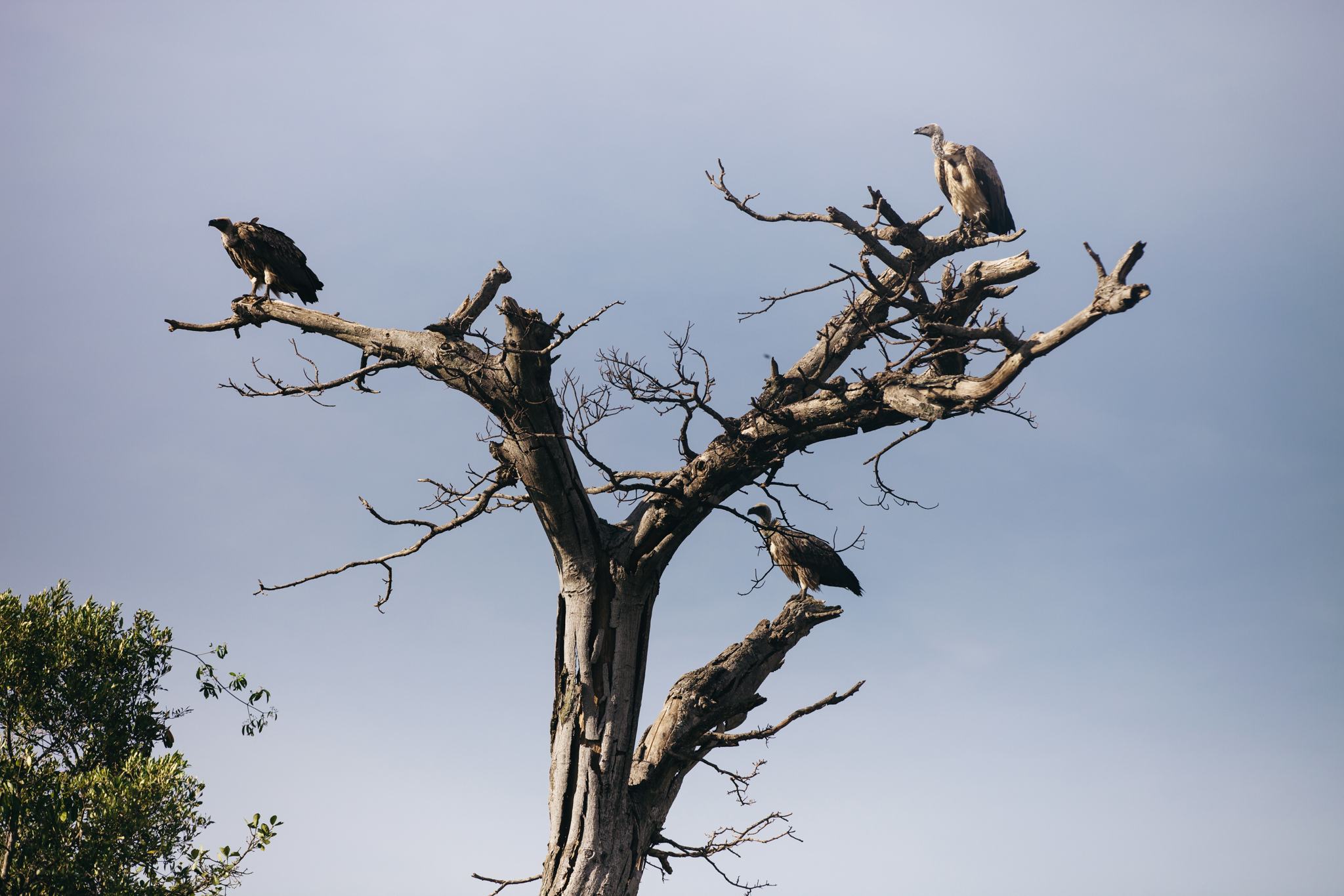 Kenya-85.jpg