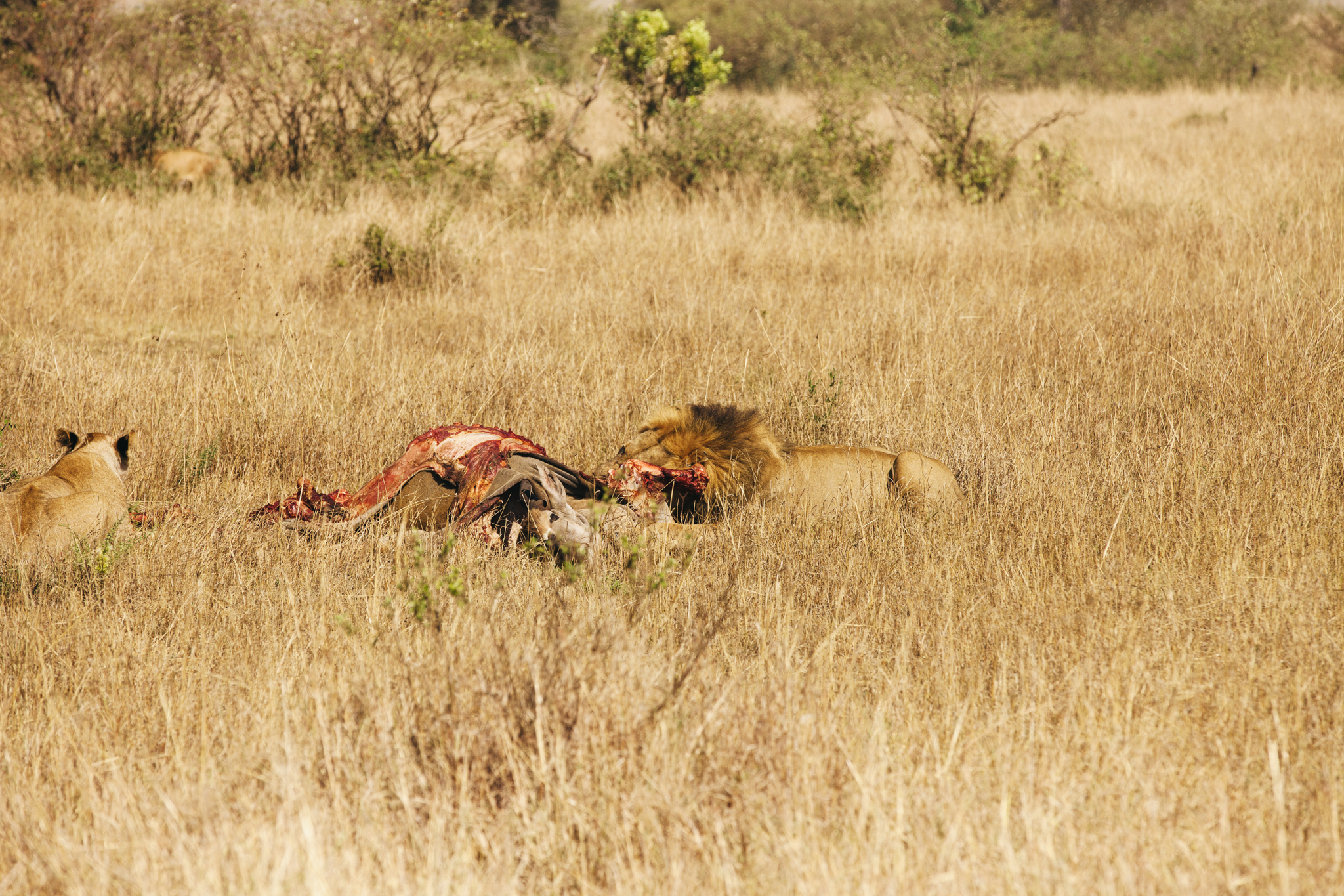 Kenya-90.jpg