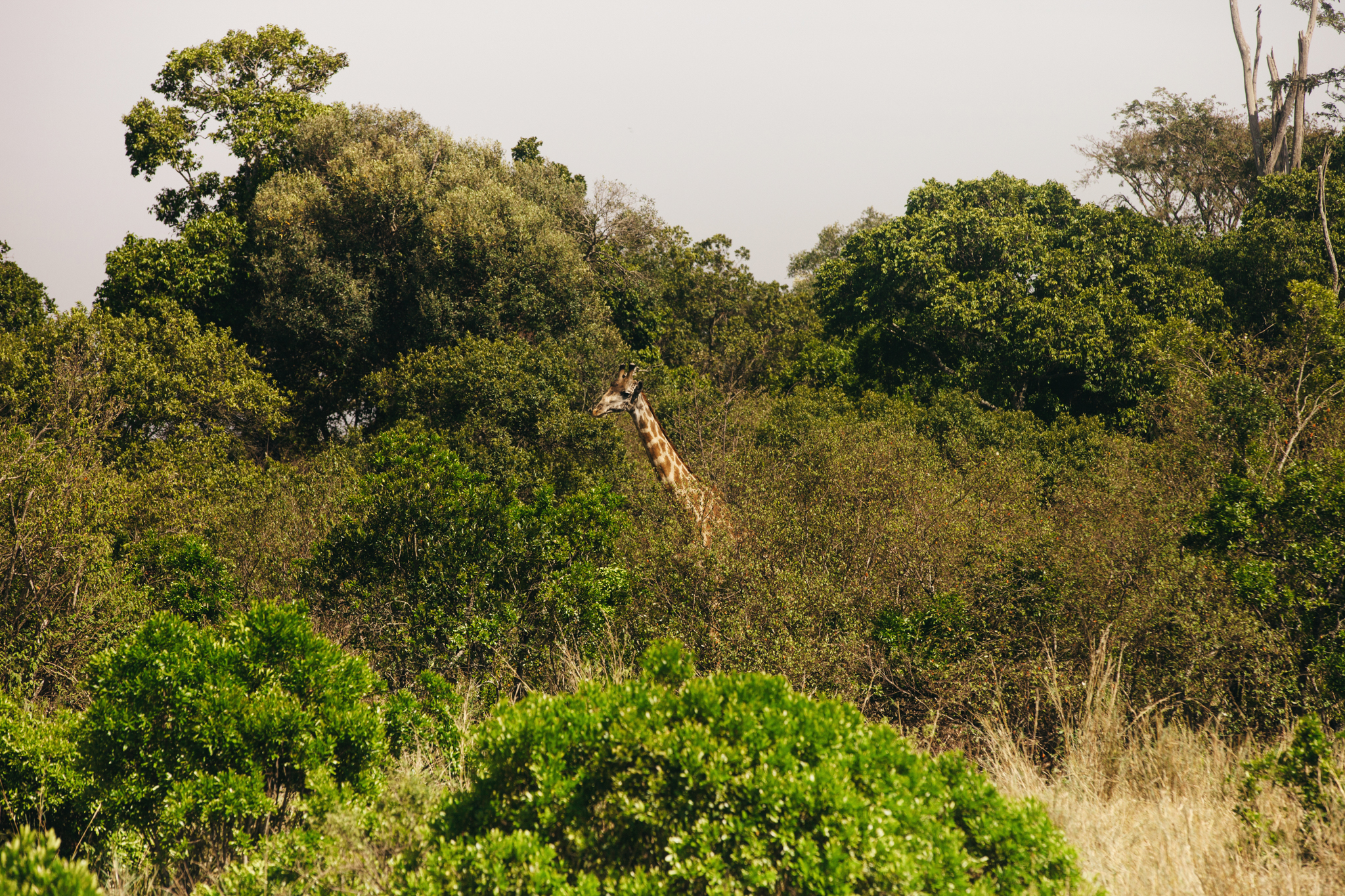 Kenya-92.jpg
