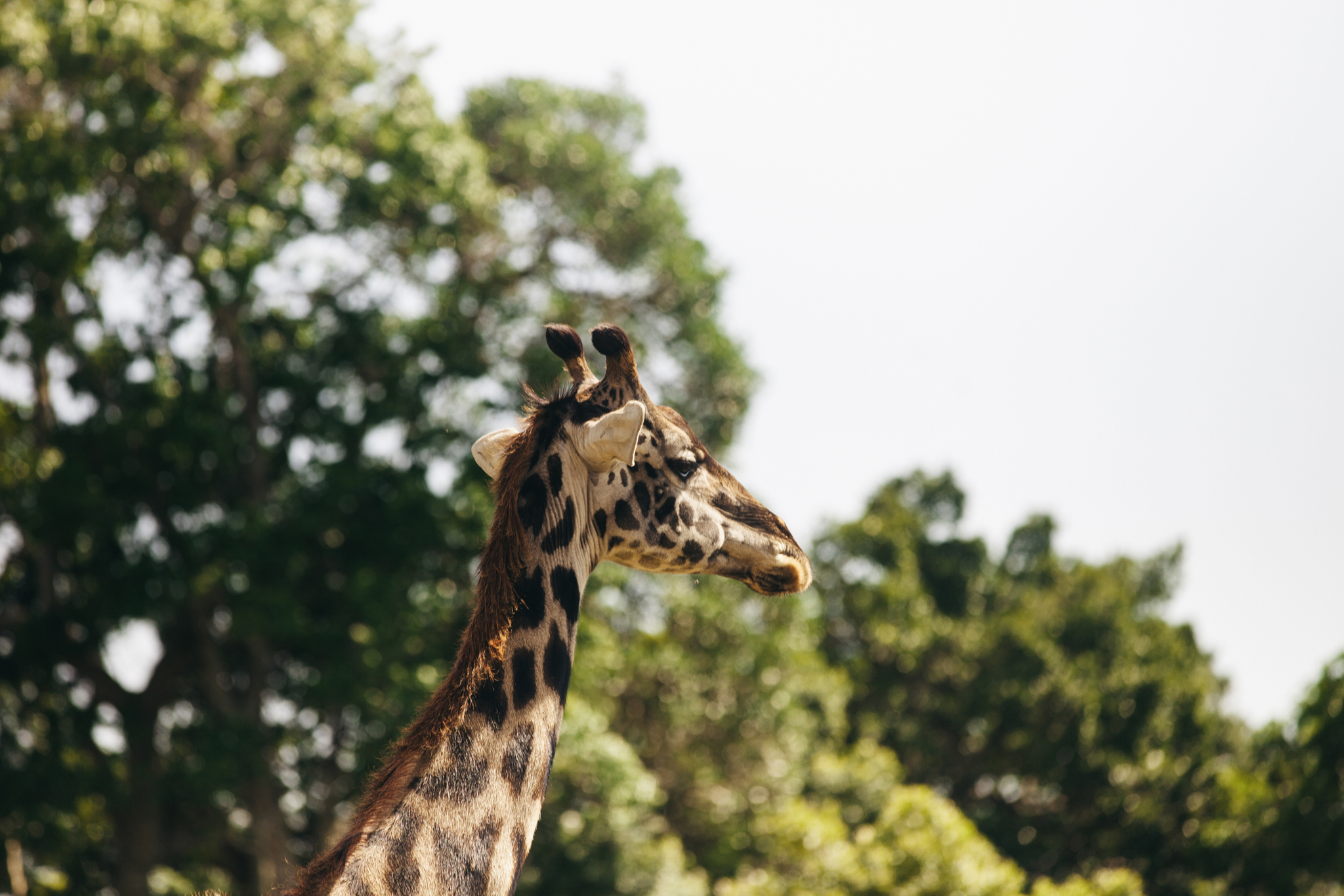 Kenya-95.jpg