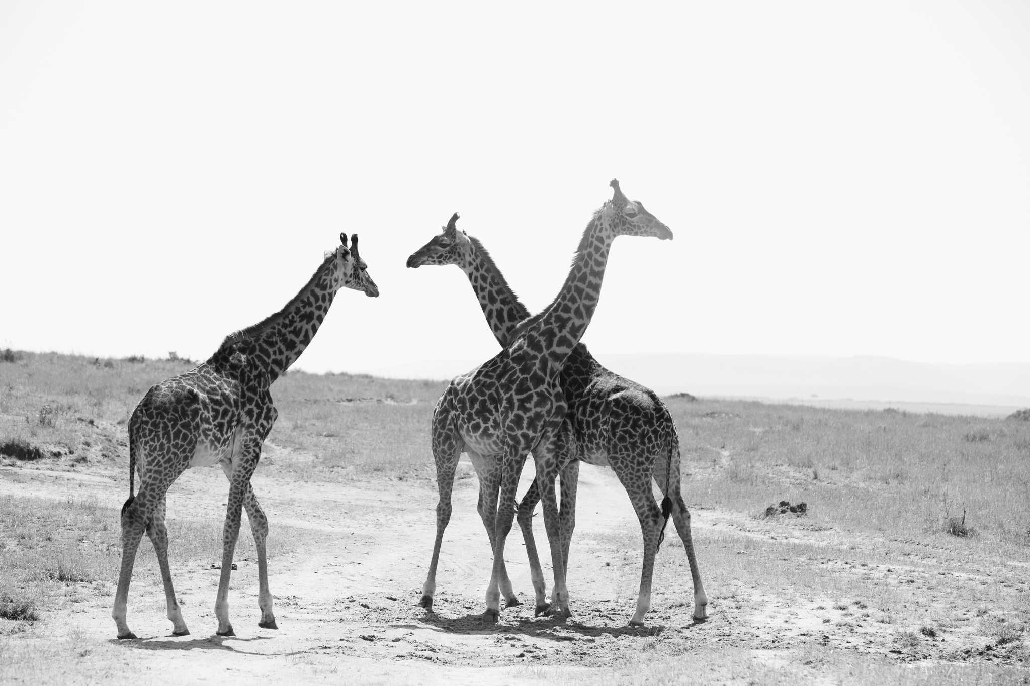 Kenya-106.jpg
