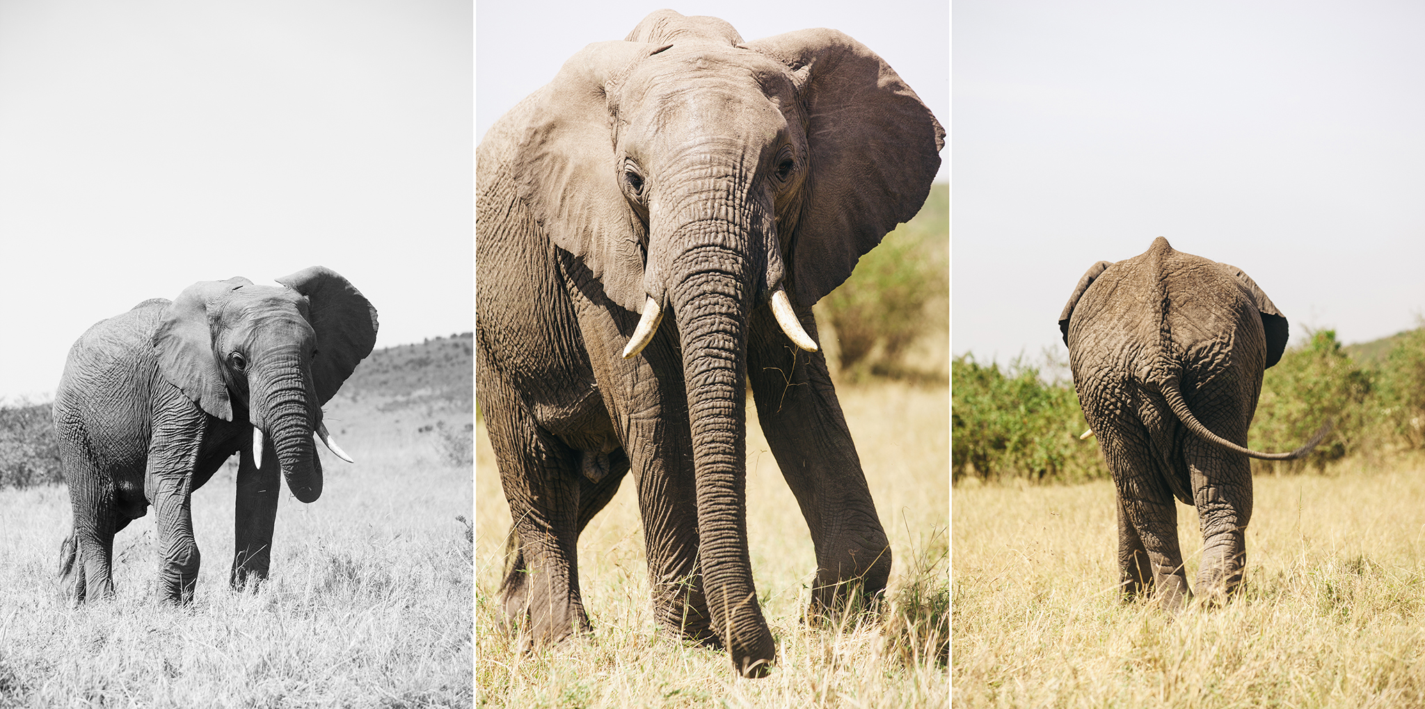 Kenya-113.jpg