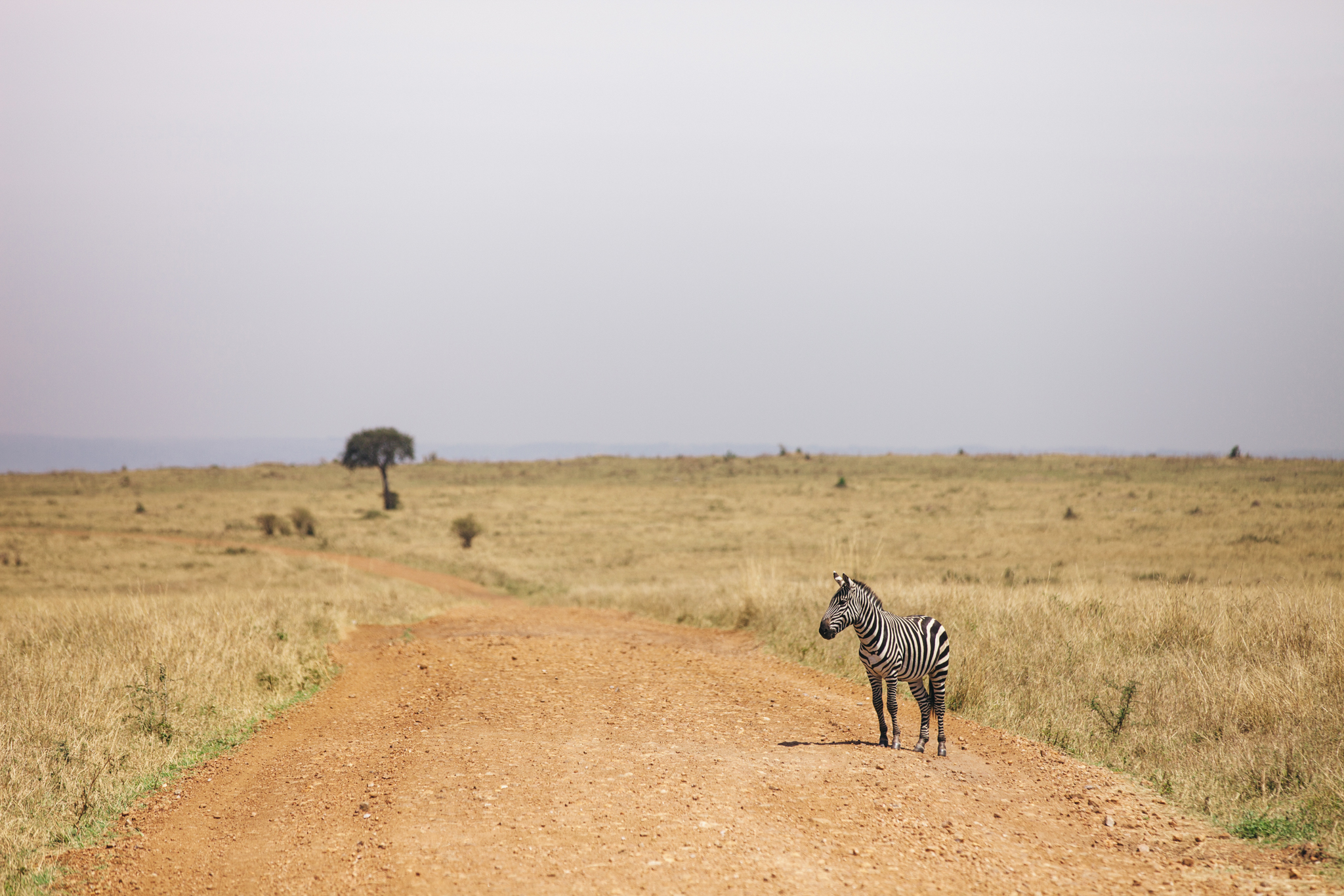 Kenya-119.jpg