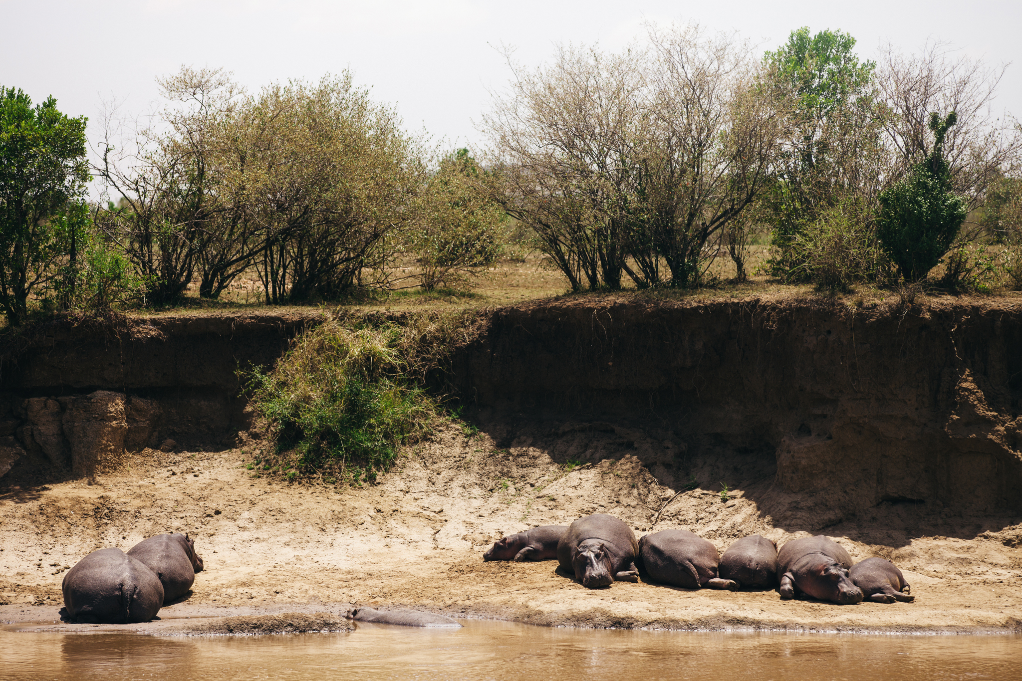 Kenya-126.jpg