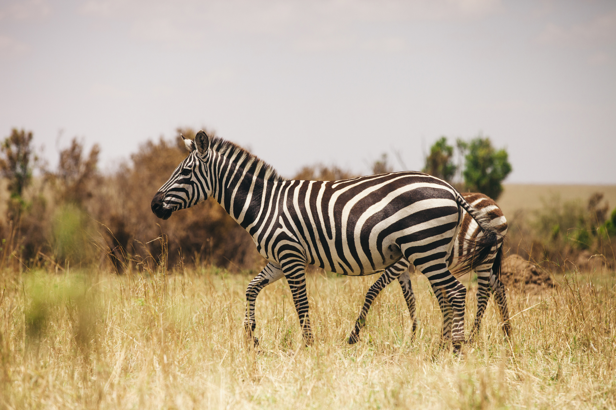 Kenya-135.jpg