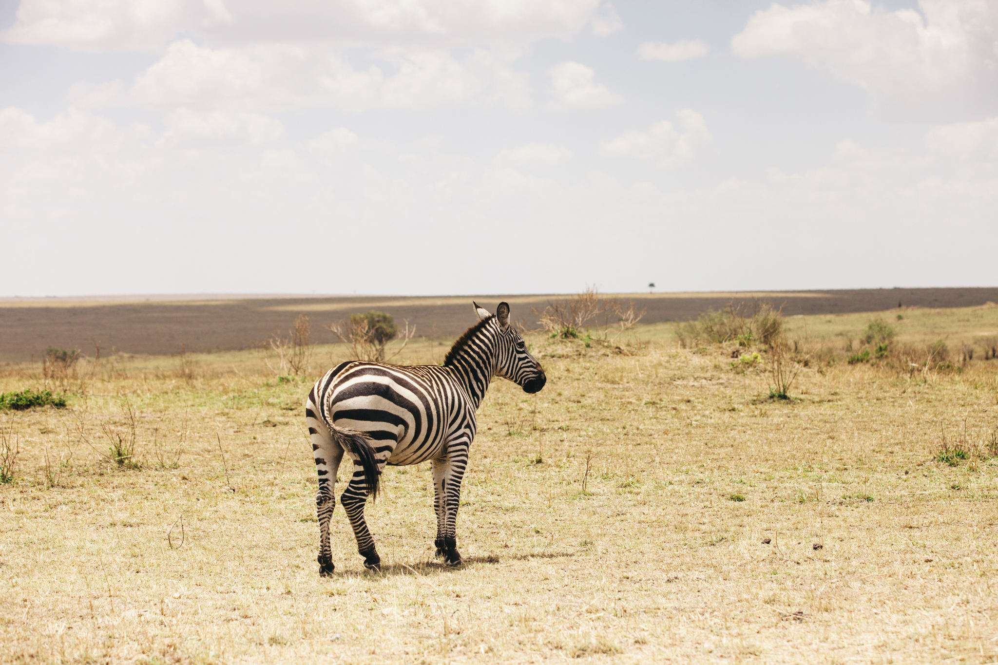 Kenya-136.jpg