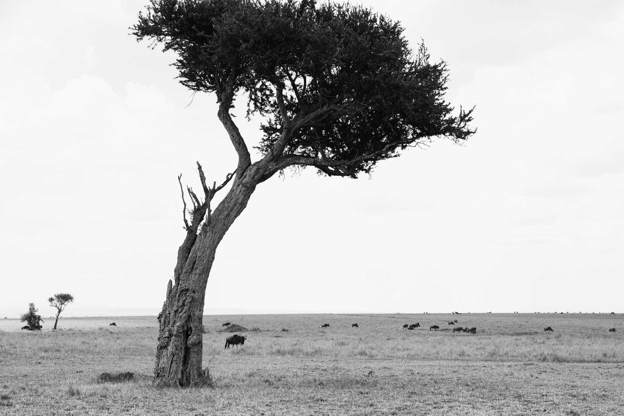 Kenya-140.jpg