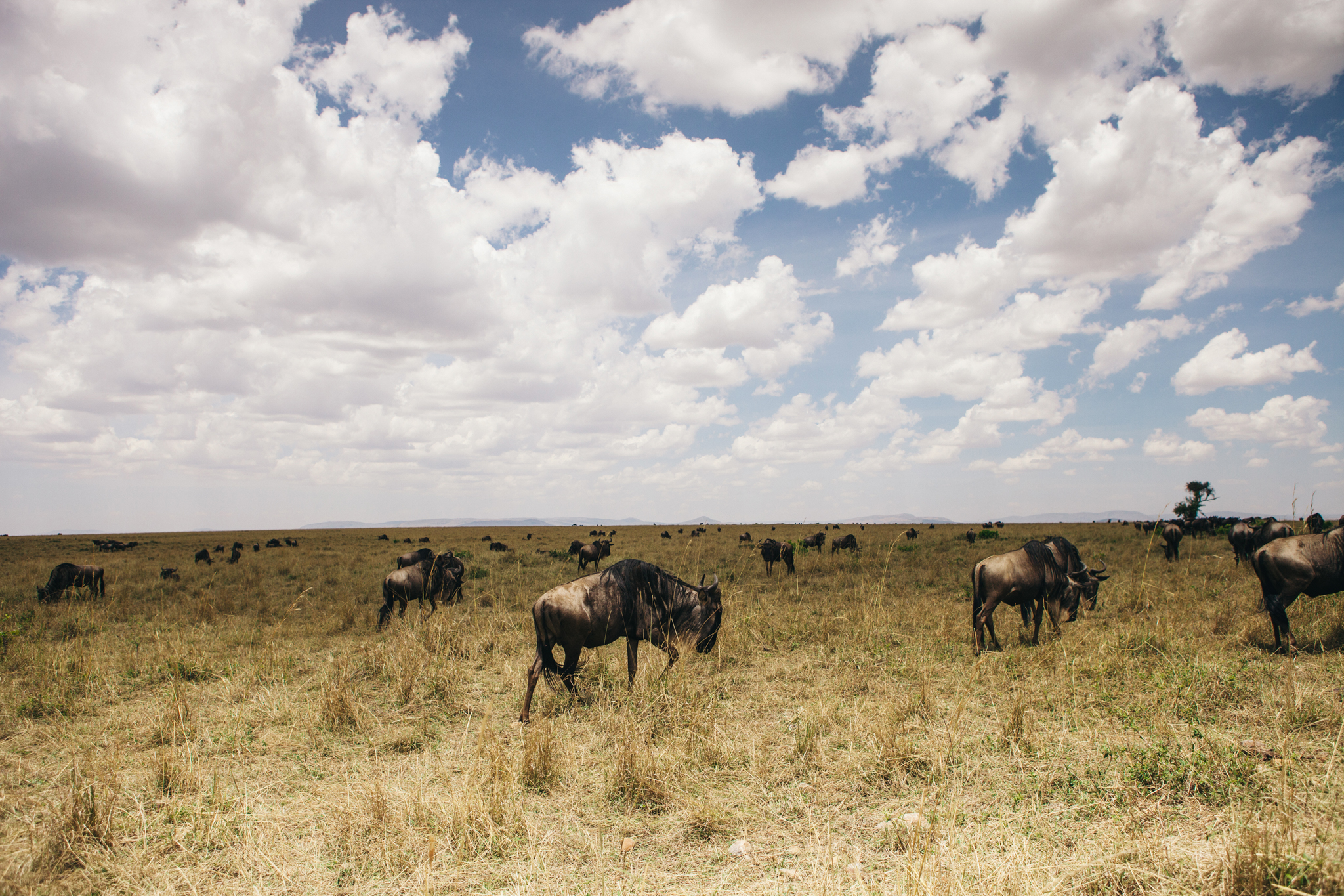Kenya-142.jpg