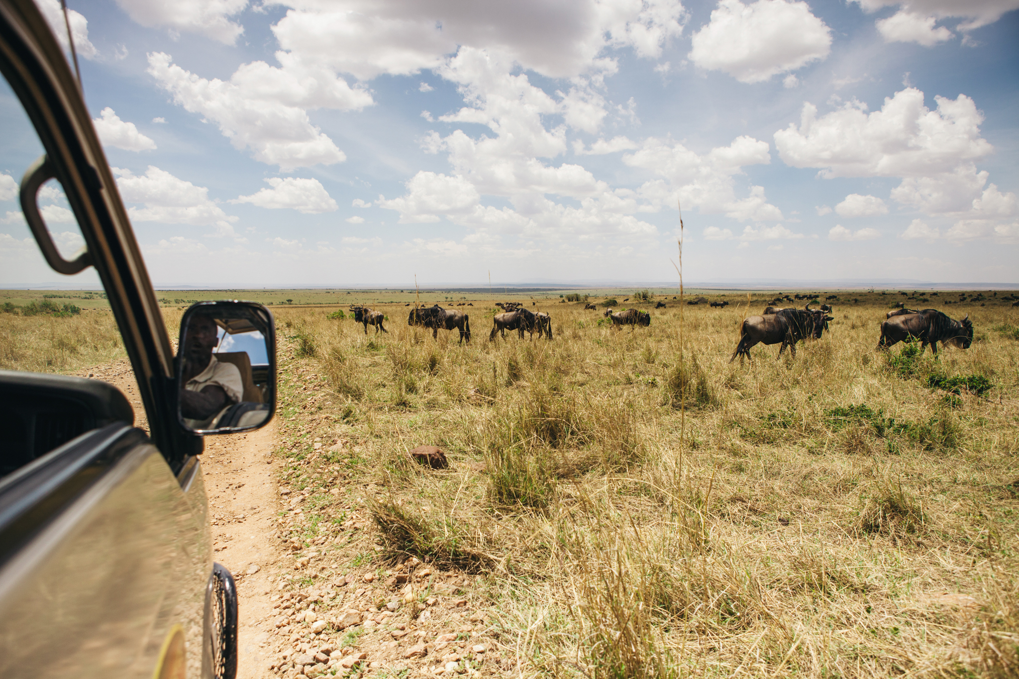 We were so fortunate to be there for wildebeest season!