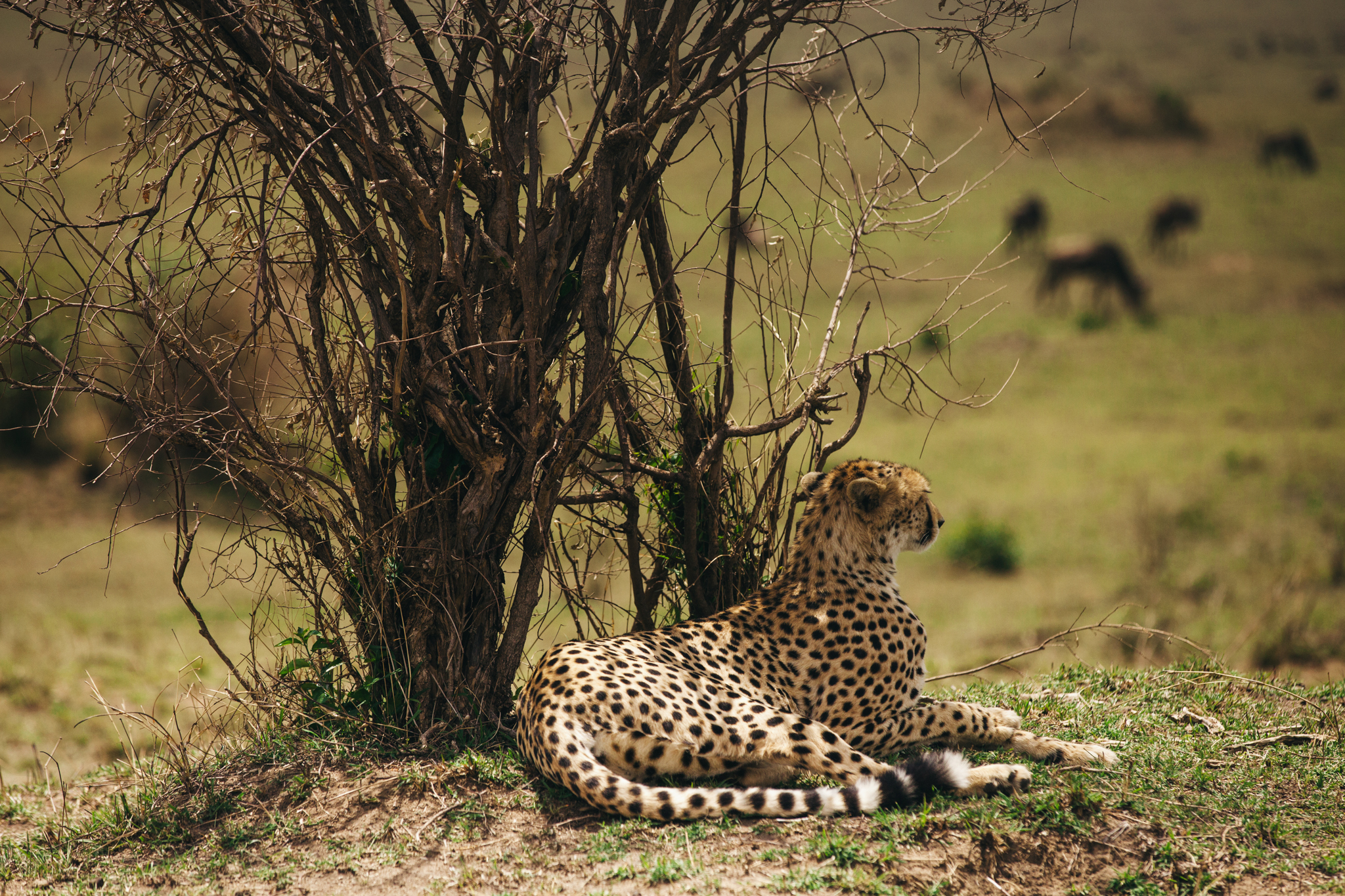 Kenya-144.jpg