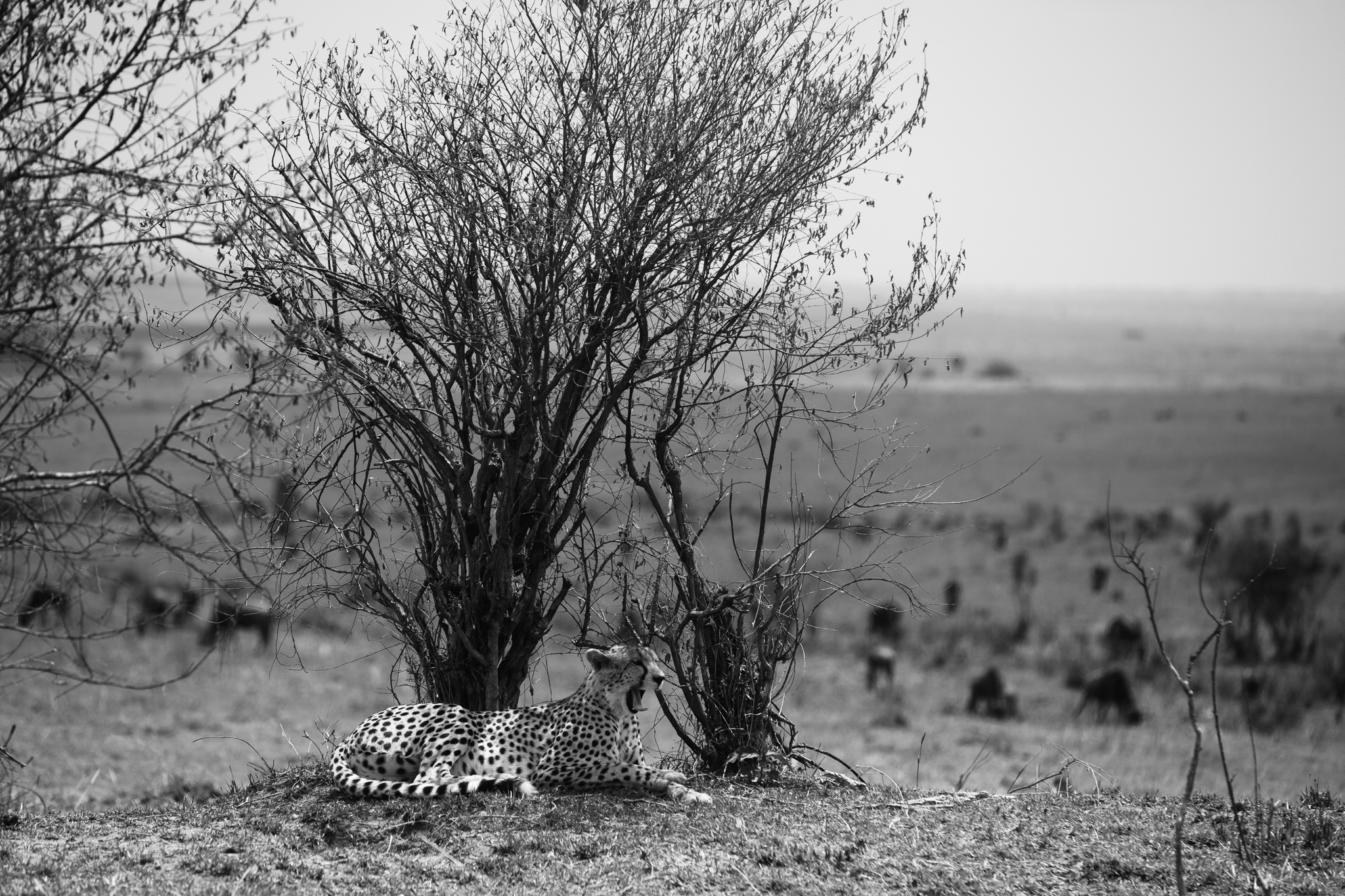 Kenya-147.jpg