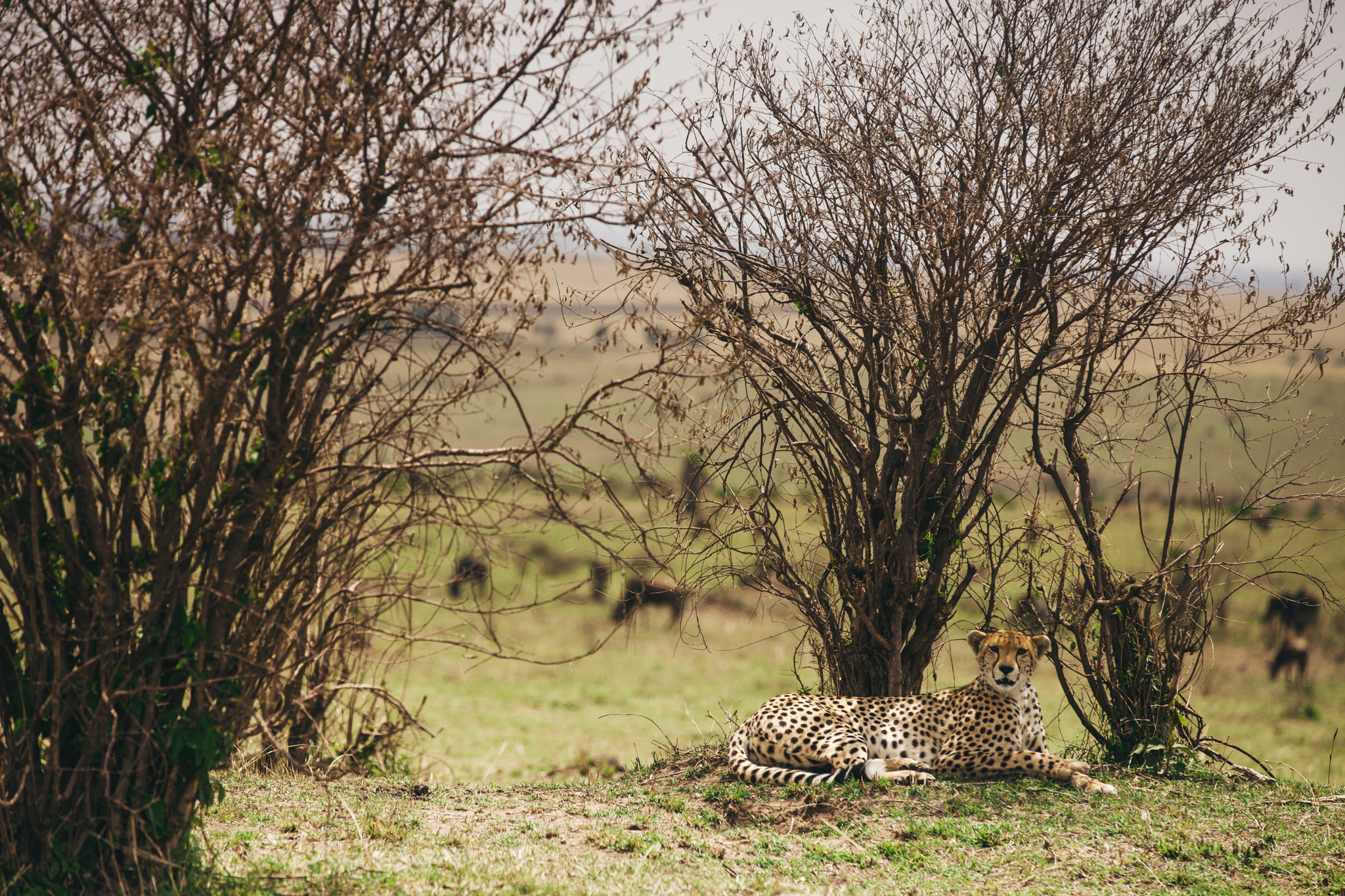 Kenya-146.jpg