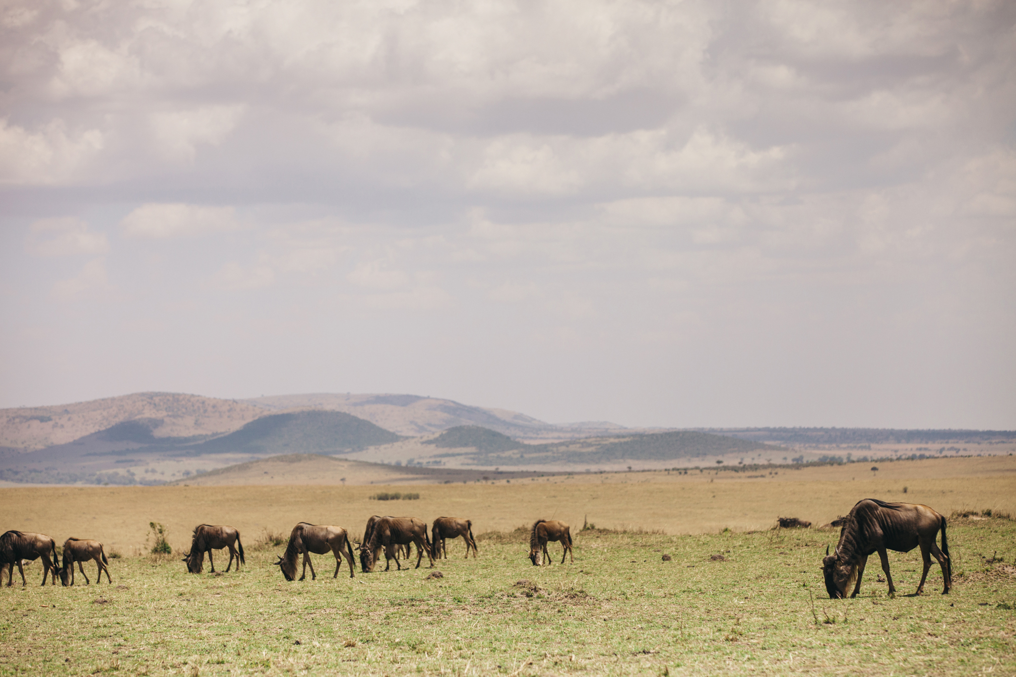 Kenya-148.jpg