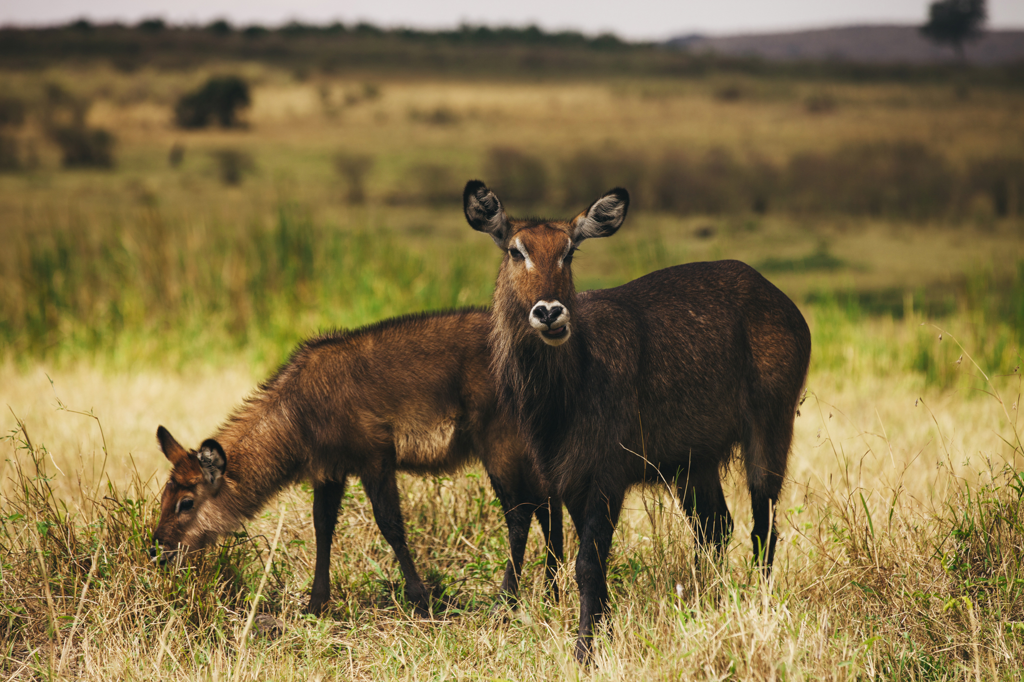 Kenya-154.jpg