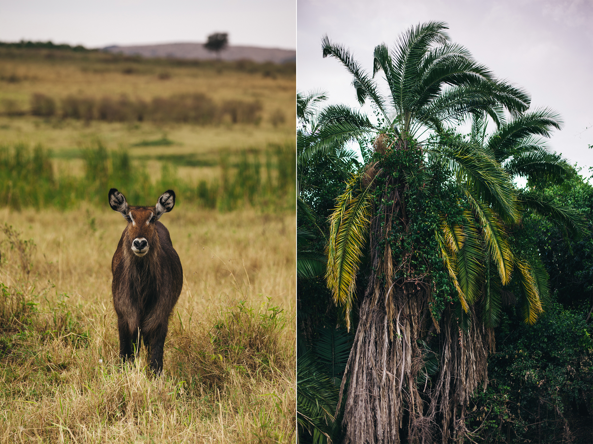 Kenya-156.jpg