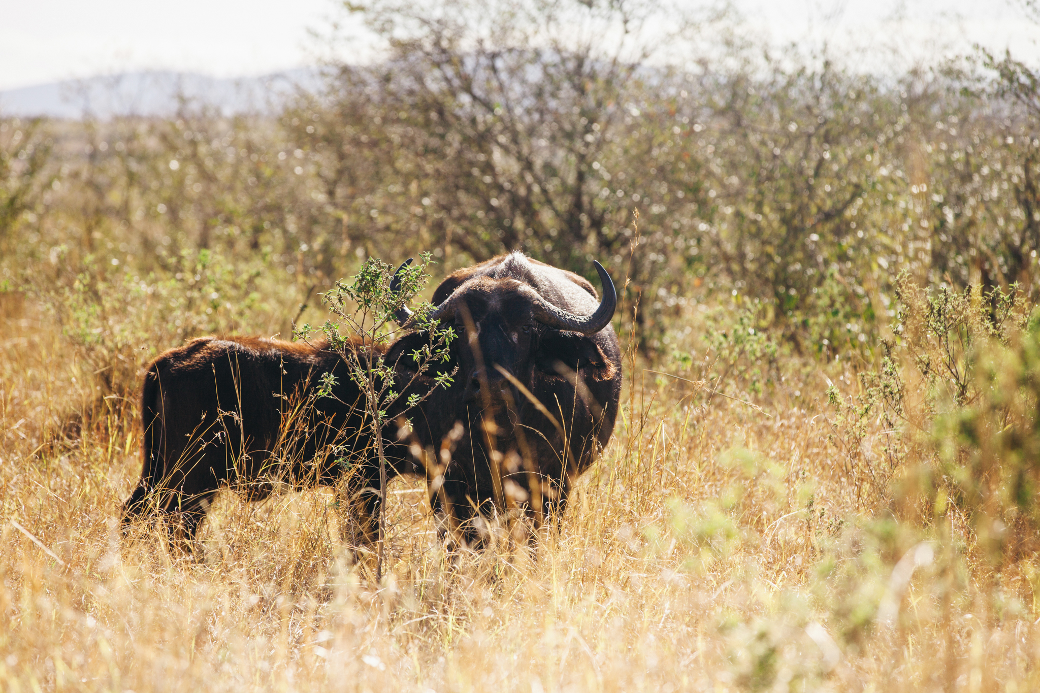 Kenya-163.jpg