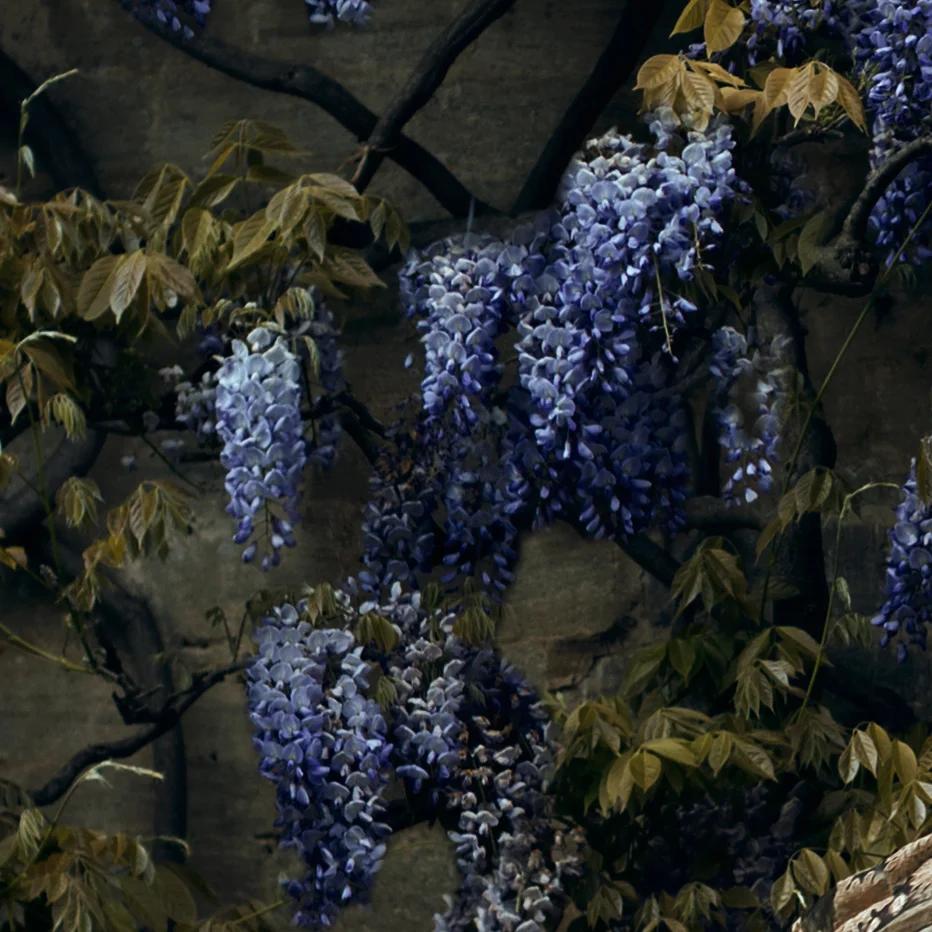 _G1A8811 R-crop 2.jpg