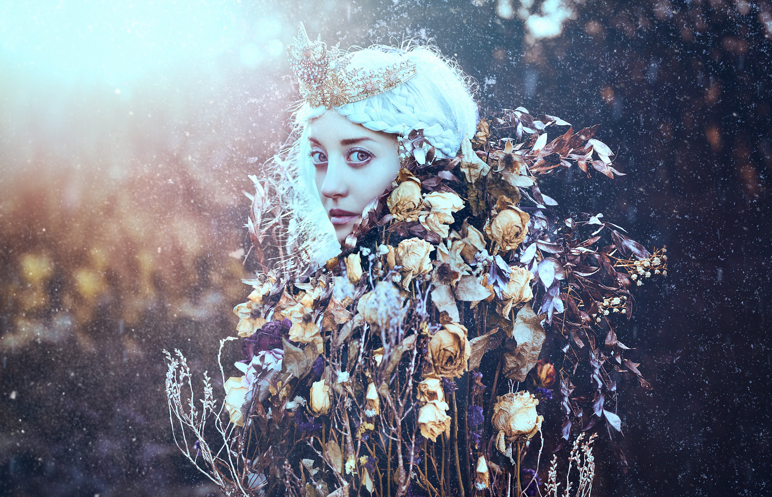 Winter's Wildflower II