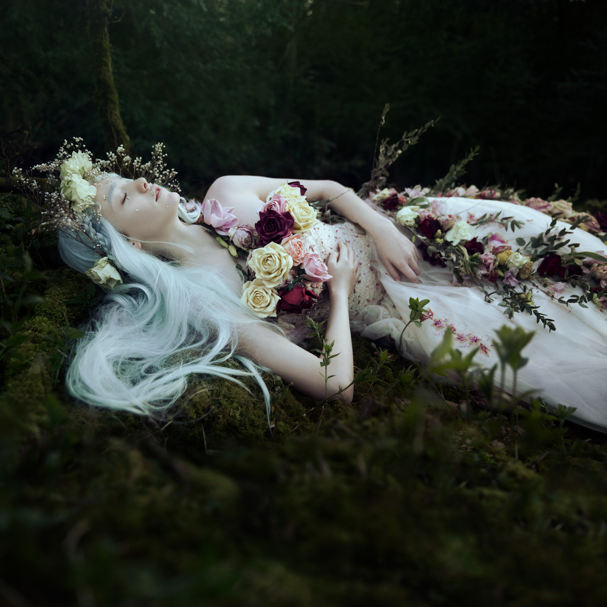 A dream in Spring