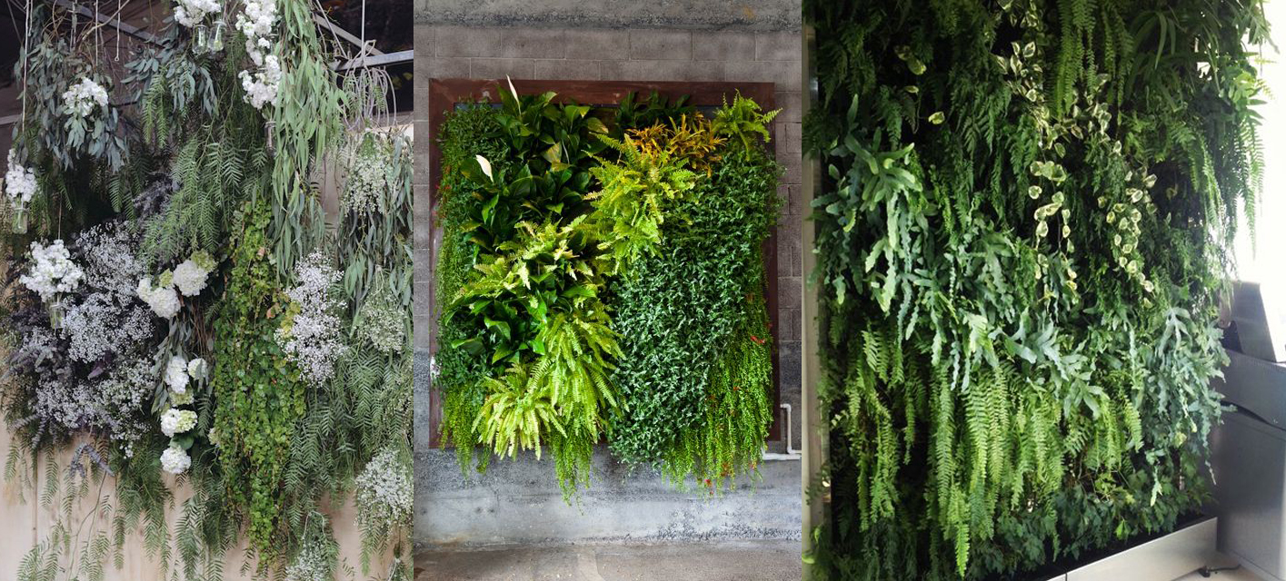Fern wall inspiration for the live shoot