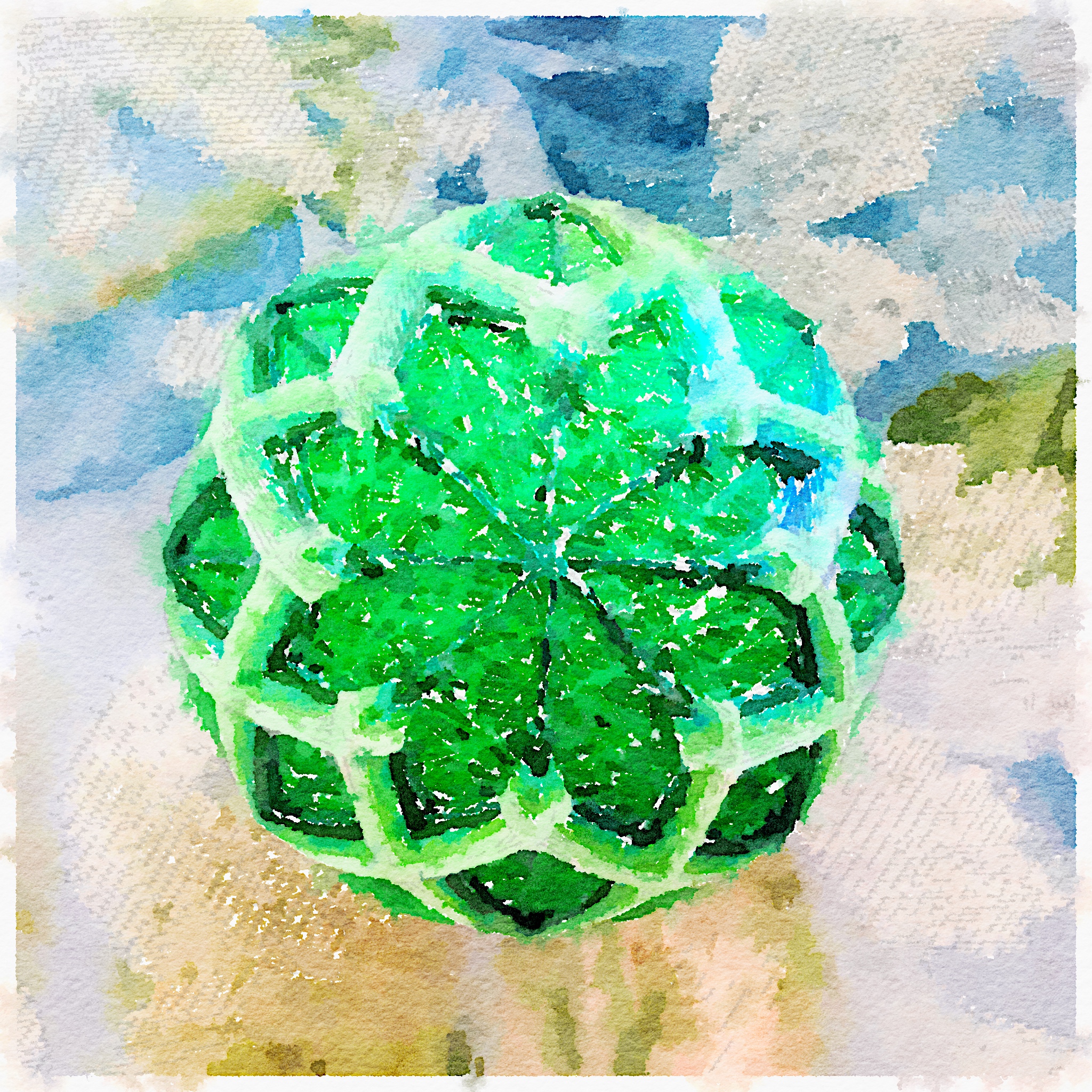Green temari on floral background, my photo rendered in Waterlogue.