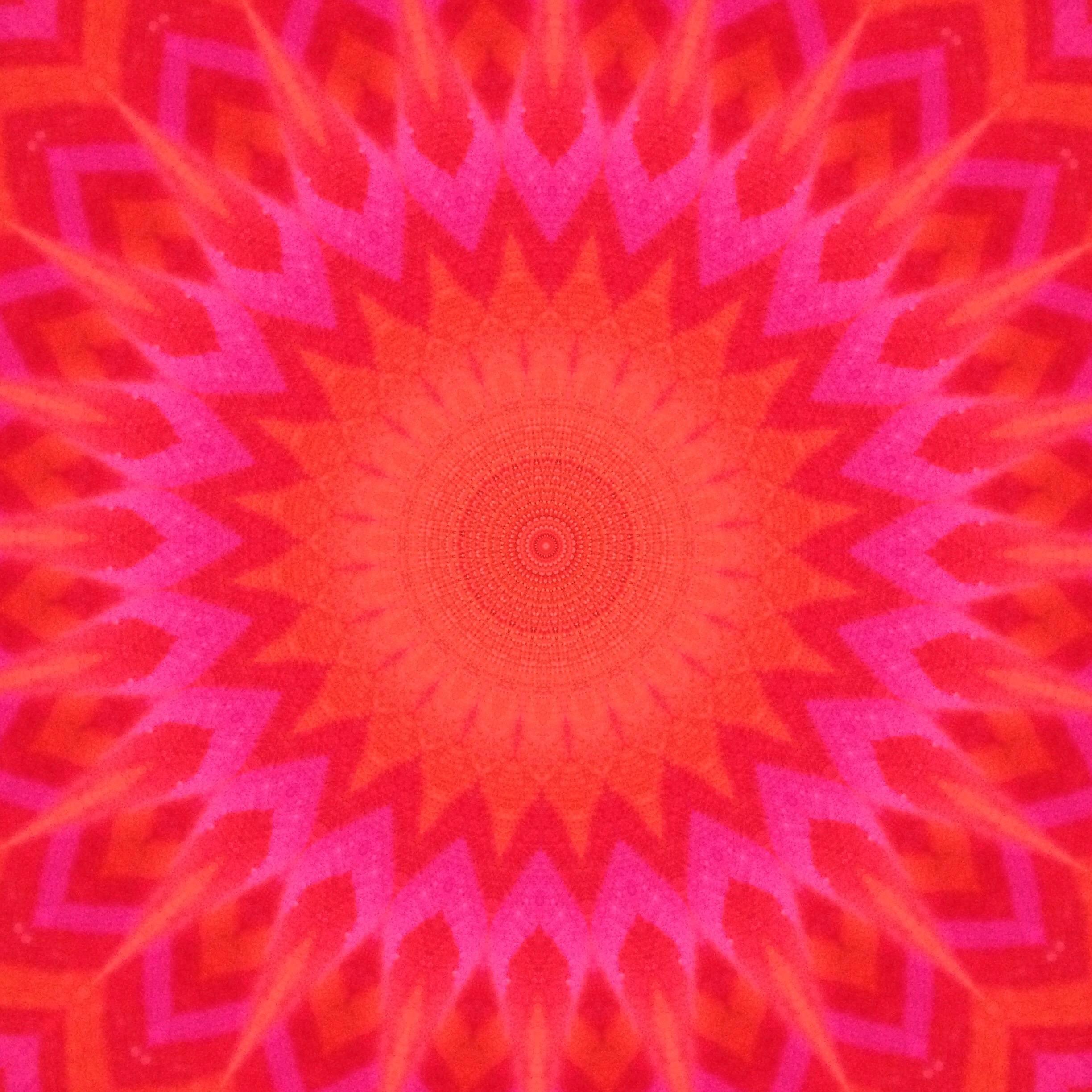 The original photo, put through the kaleidoscope app on my phone.