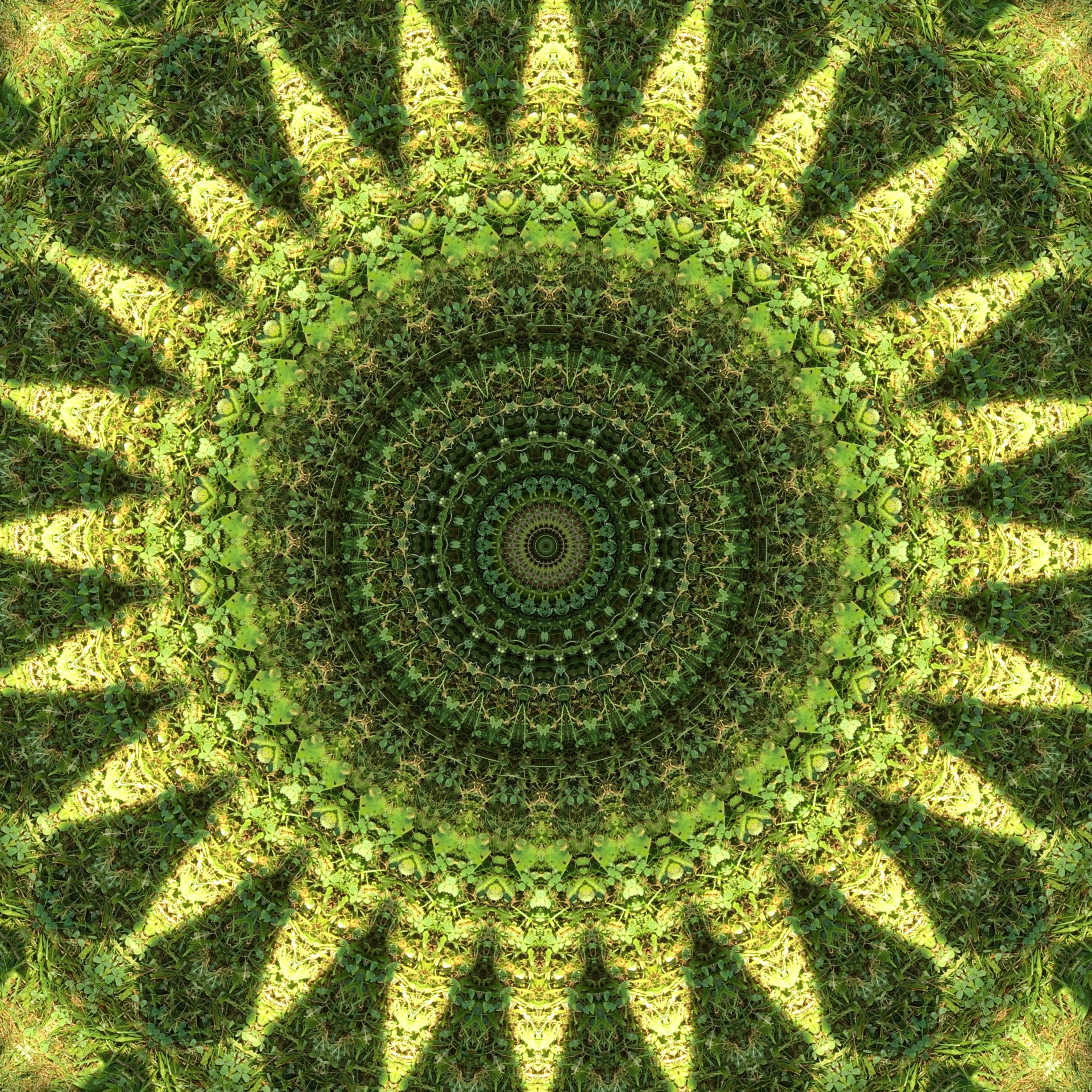 The same, kaleidoscoped