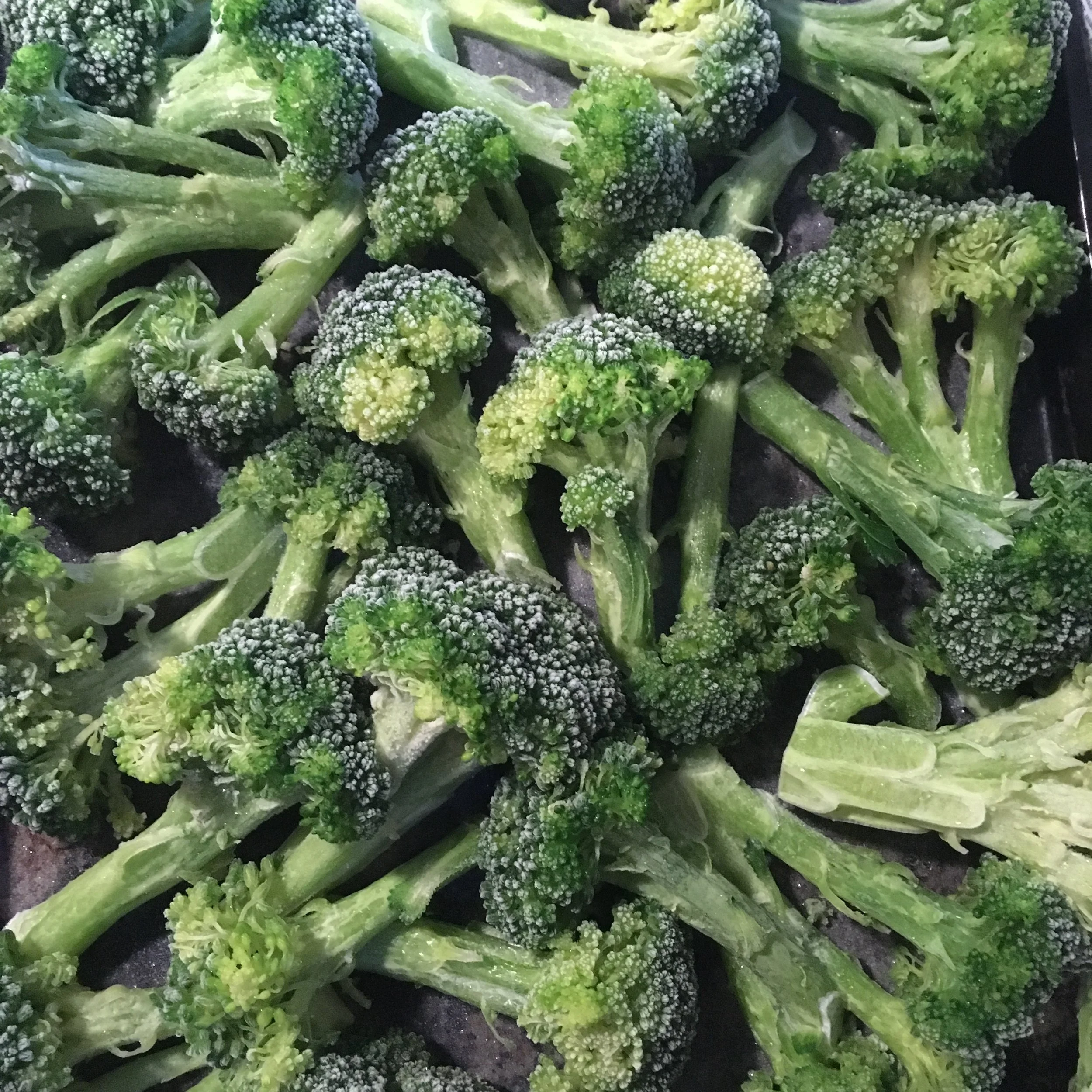 Freezing broccoli. And tomatoes, and peppers, and apples...