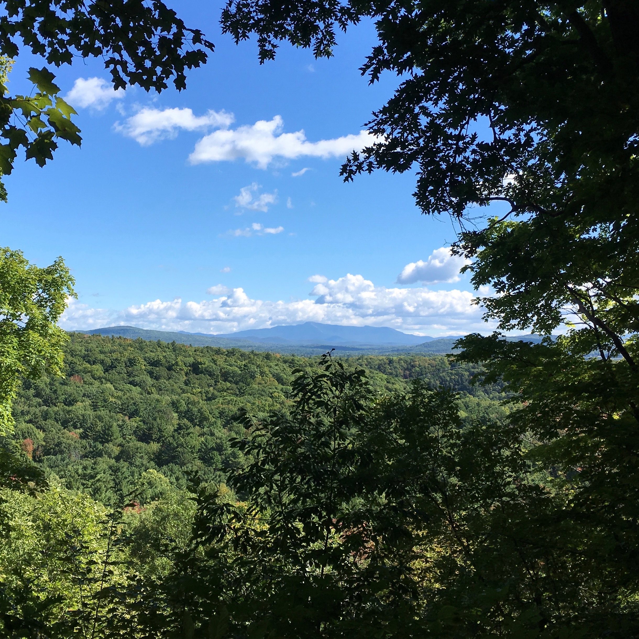 Hiking on Saturday: the view to the east--Mt. Mansfield