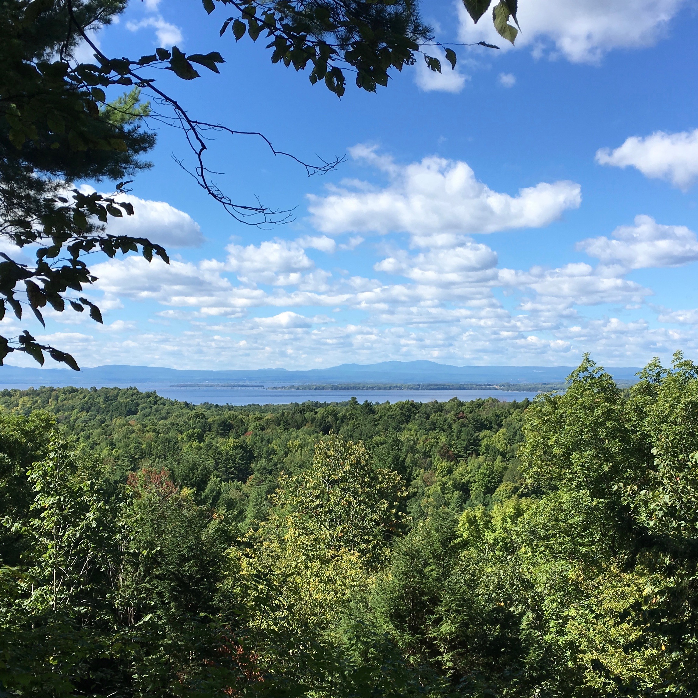 Hiking on Saturday: the view to the west--across Lake Champlain to South Hero Island and the Adirondack Mountains beyond