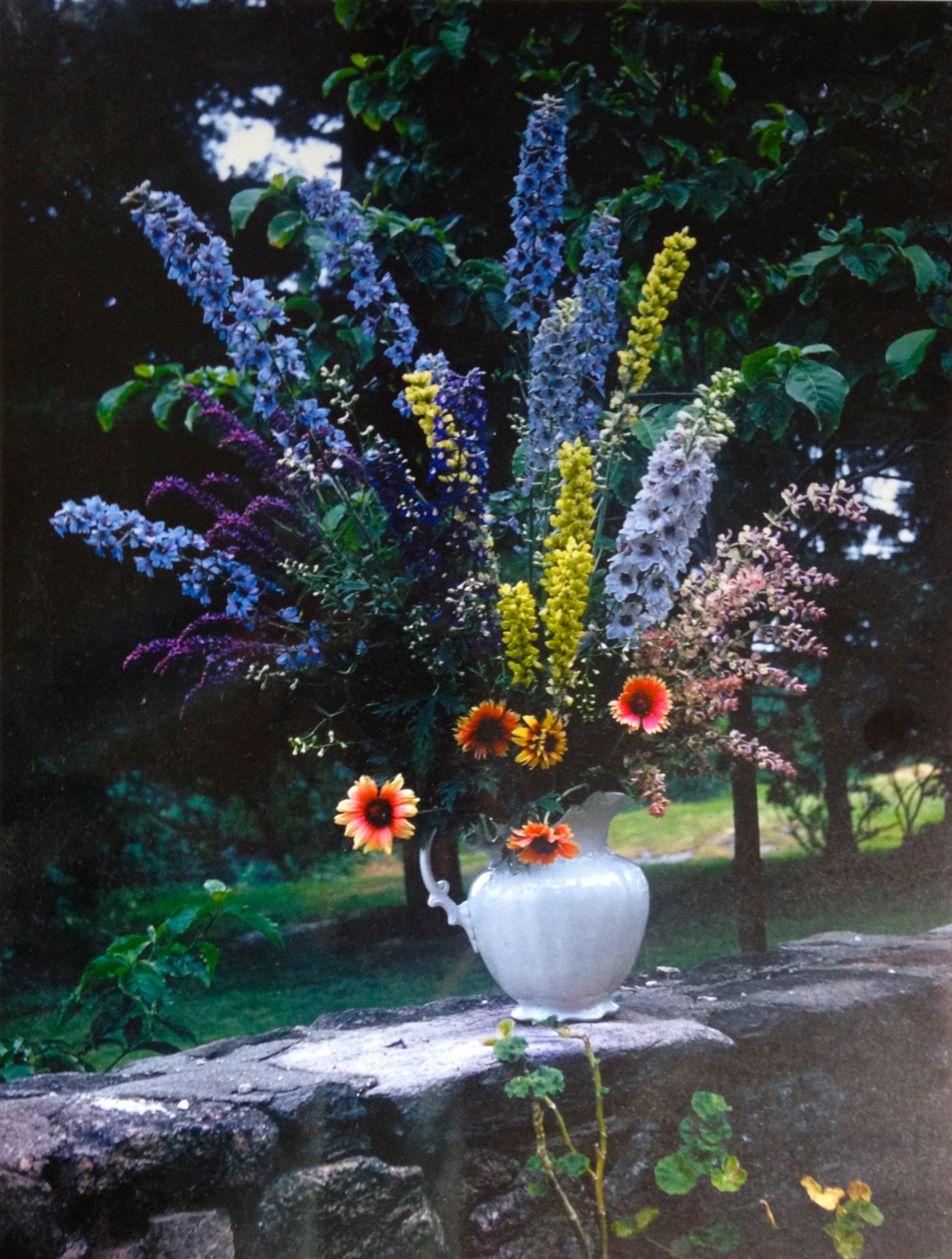 His delphiniums were magnificent.