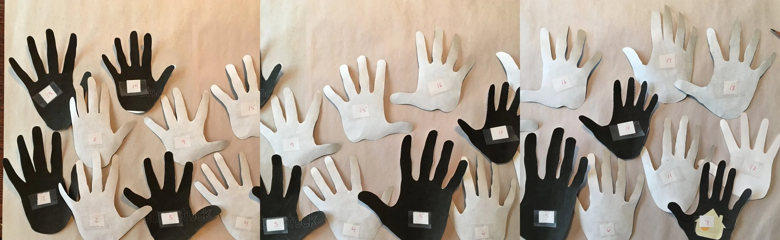 hands layout.jpg