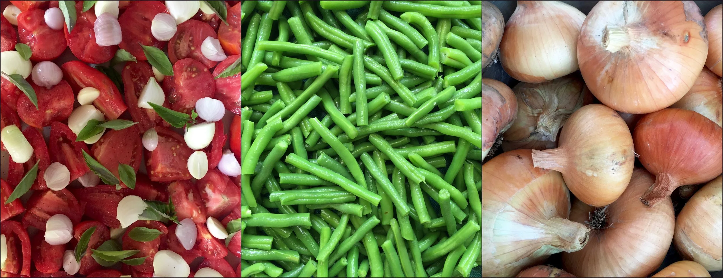 harvest.jpg