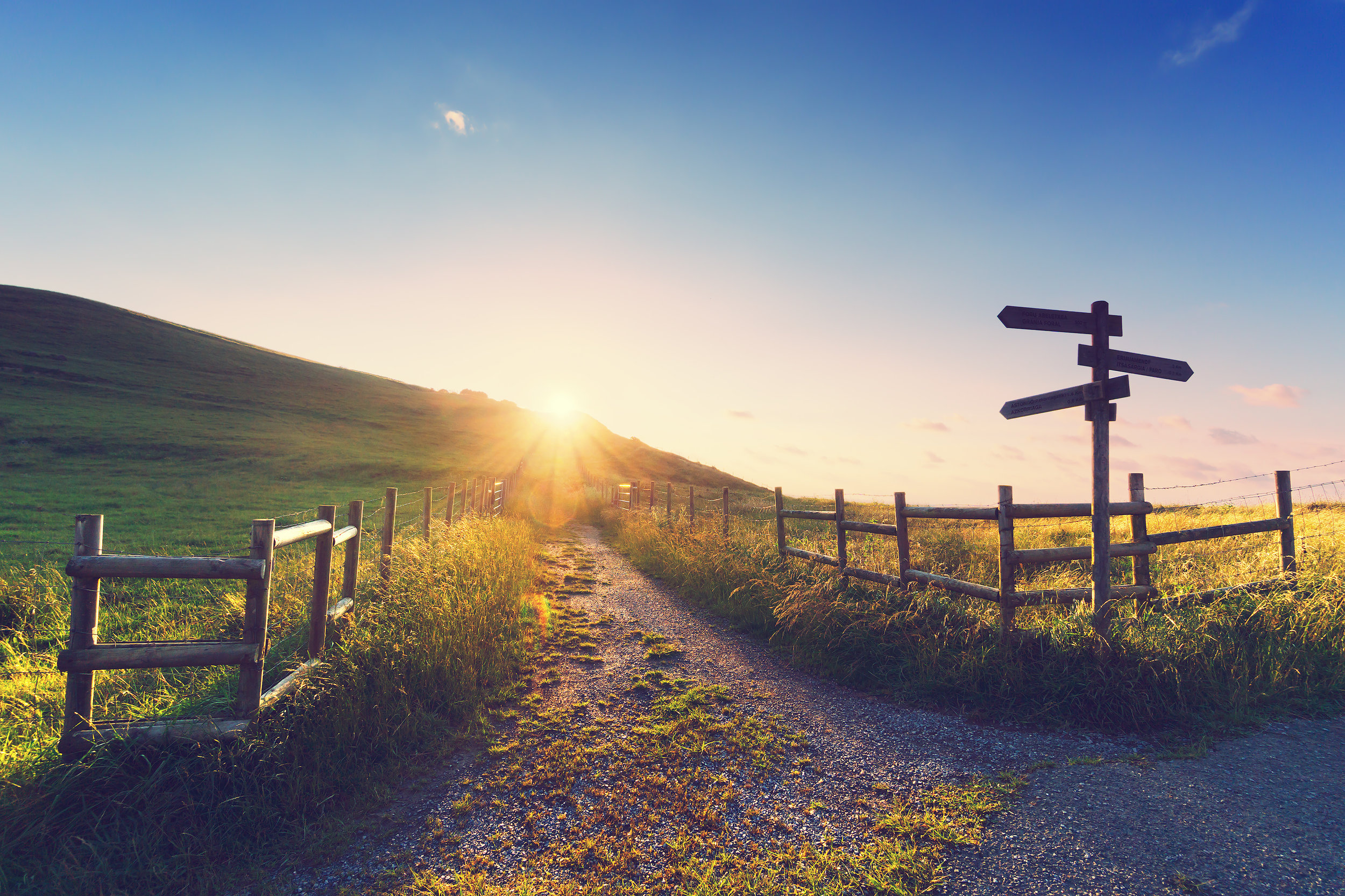 Fotolia_85316319_Subscription_Monthly_XL.jpg